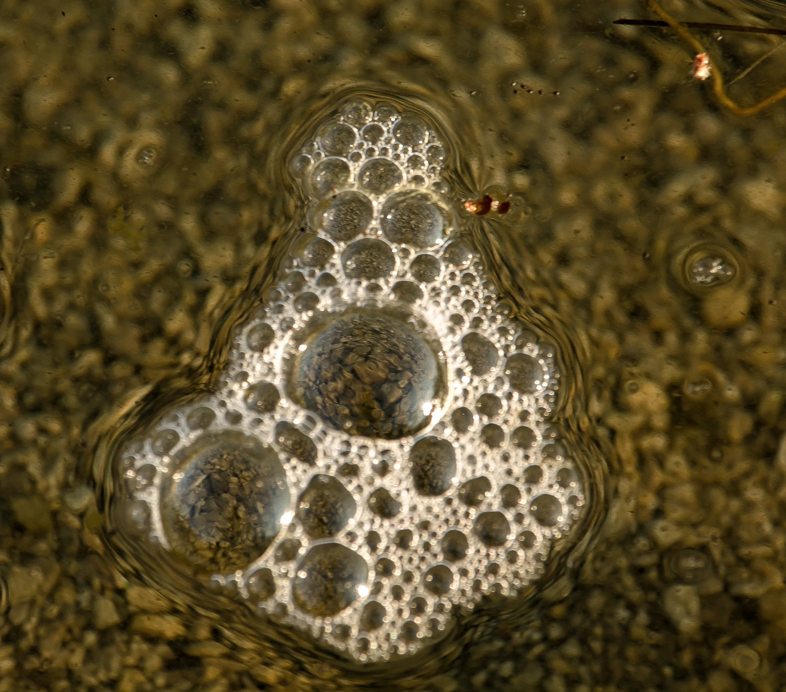 BubblesOnLake-2.jpg
