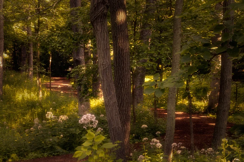 This photo was taken at the Morton Arboretum, follow the trail and you end up at Big Rock. &nbsp; &nbsp; &nbsp;A leftover from the last glacier.&nbsp;