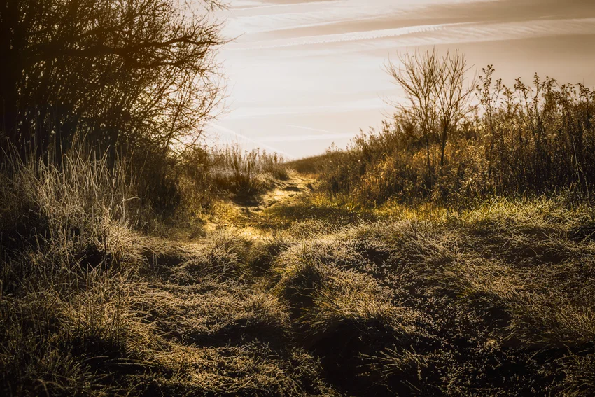 This was shot over at Blackwell Forest Preserve.&nbsp; "Rough Trail",&nbsp; A possible look back into the past&nbsp; at what early pioneers may have faced on there trek west. 