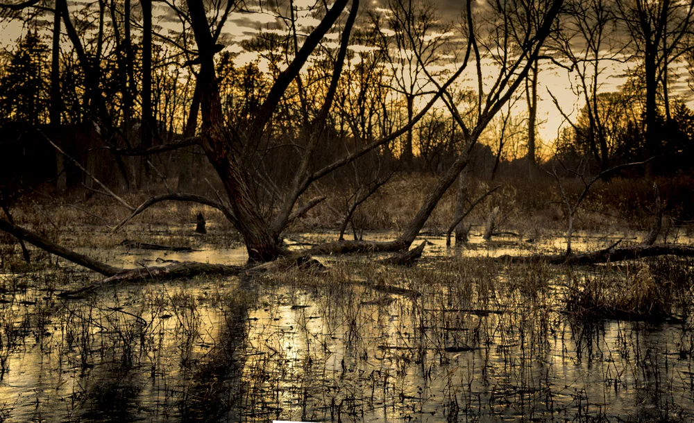 "Frozen Pond", over at the Danada farm. Which leads to a frosty sunset.