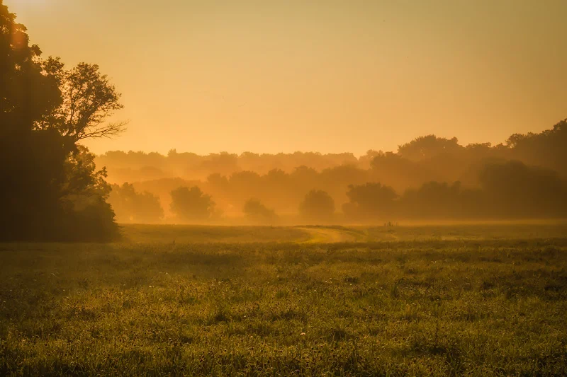 This was taken at the Elburn Forest preserve which is west of here by about 25 miles.It is relatively small, but a nice walk (around the preserve, not from LIsle). Anyway, it was a pleasant experience and I'm sure I will return someday.&nbsp;