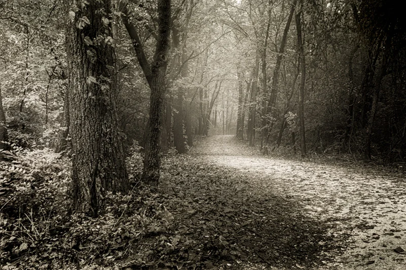 This trail runs past the Archery Range at the Blackwell Forest Preserve, and continues up to Mack Road. Most is forested with a thick growth of trees.I take this shot often but never seem to catch the essence of the scene in front of me. By chance I…