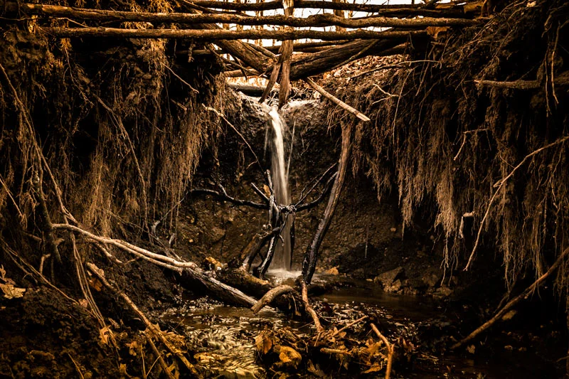 All though this may look like a frame from “Raiders of the Lost Ark”, you would be wrong. It is a small wash out of the trail at the Richard Young forest preserve in Kendall County IL. A small but enjoyable walk with some interesting  photo opportun…