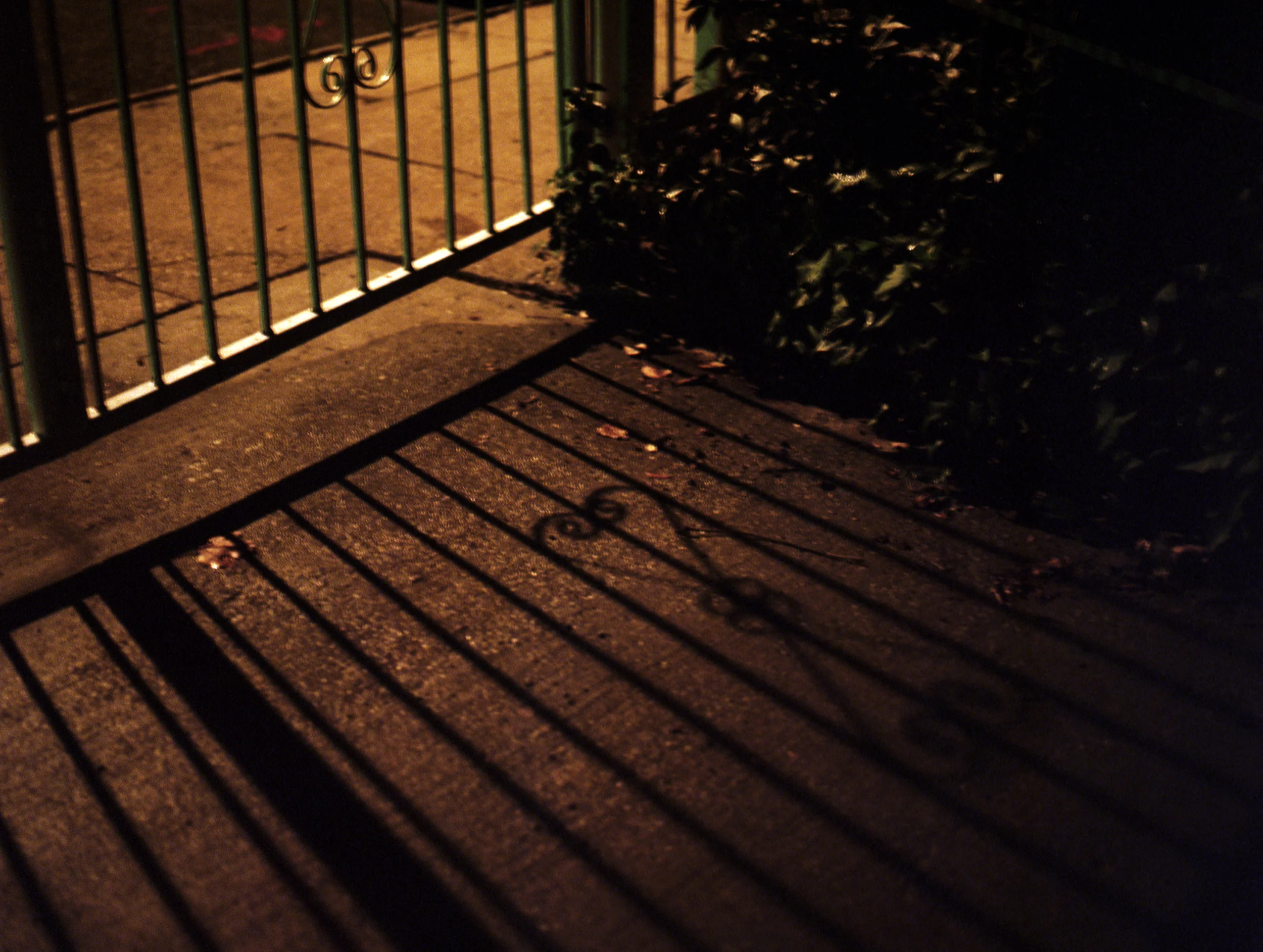 Brittany's Driveway, Brooklyn, Autumn
