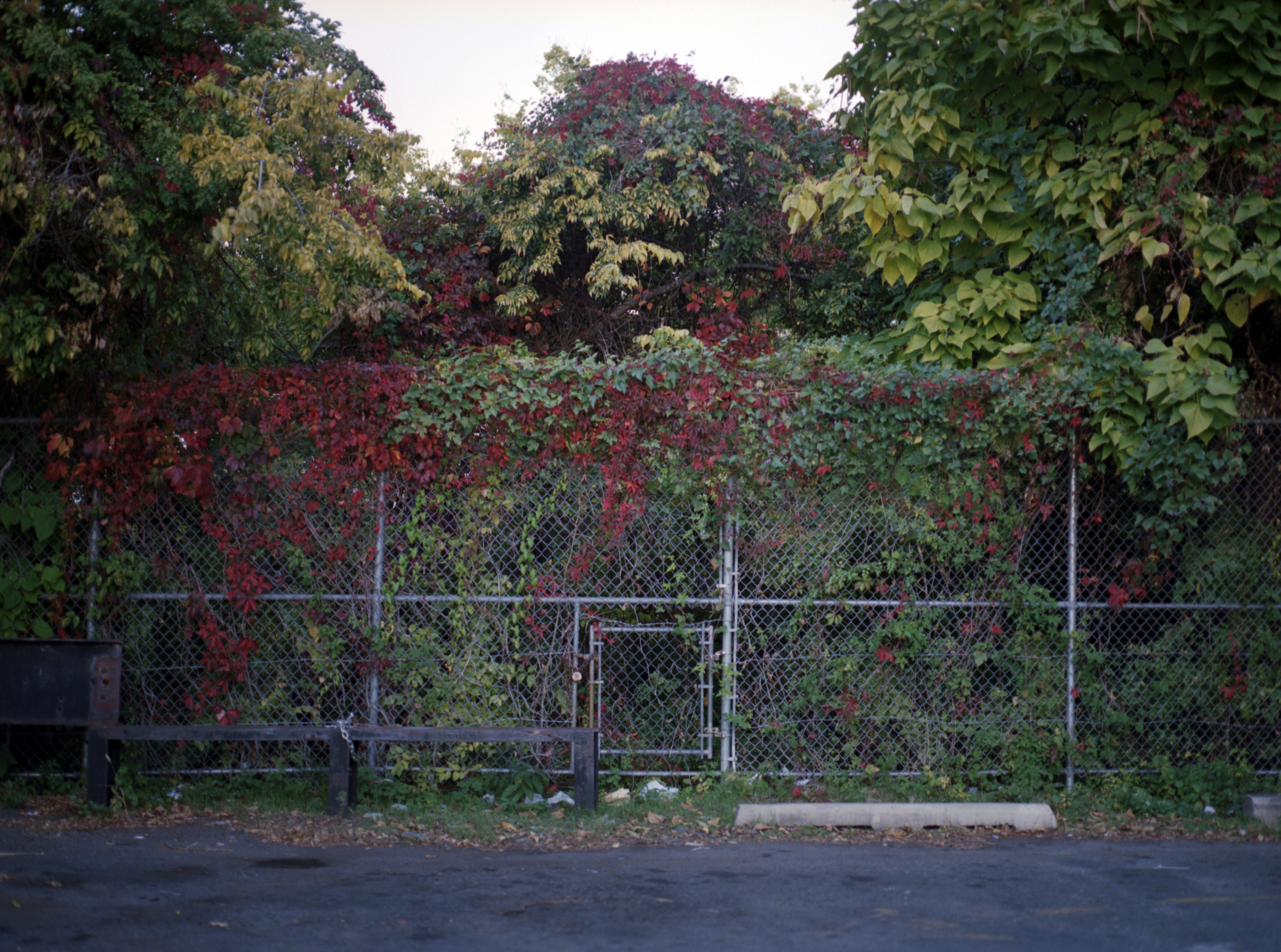 Brooklyn, Autumn