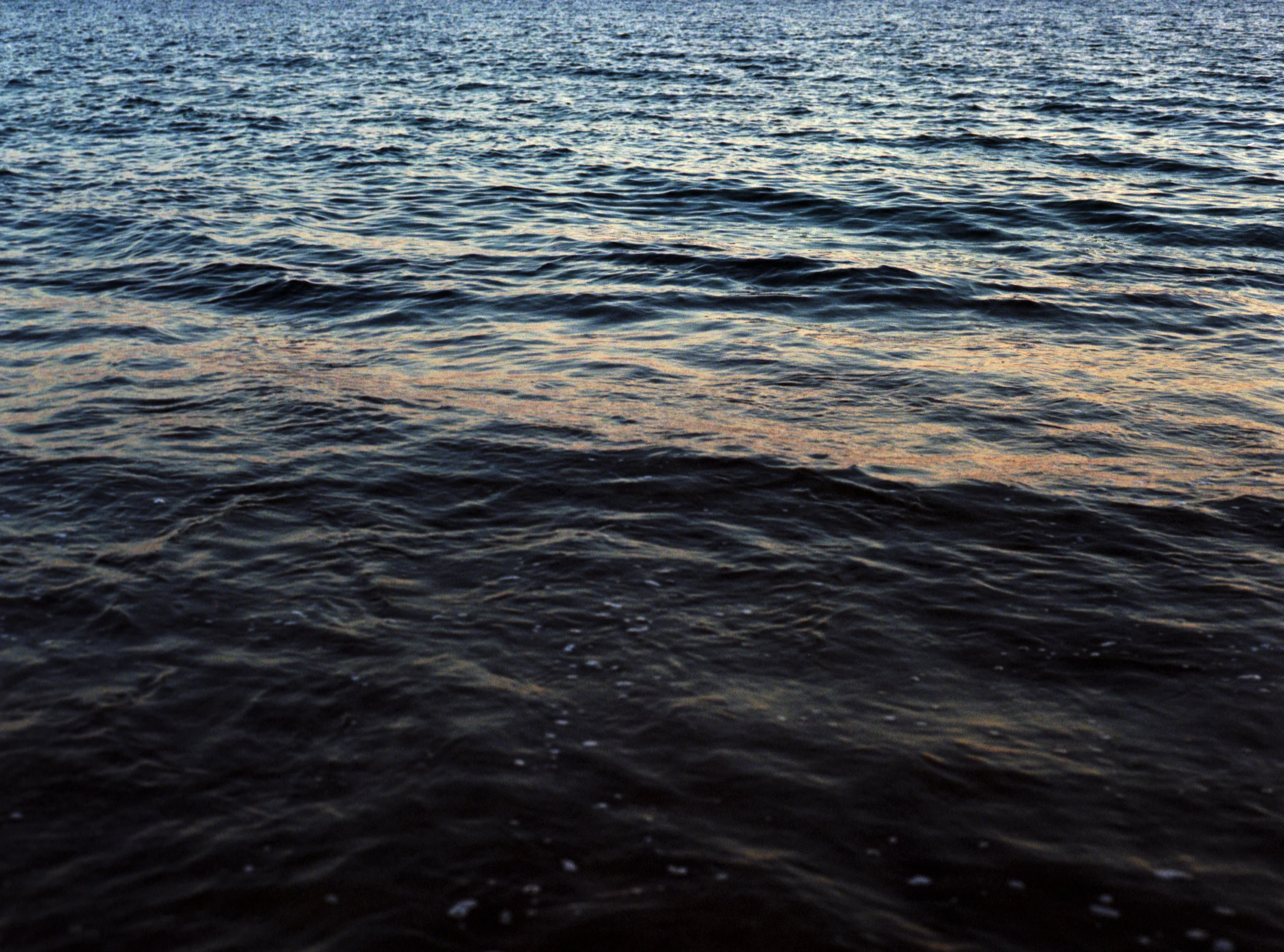 Sea of Cortez, Autumn