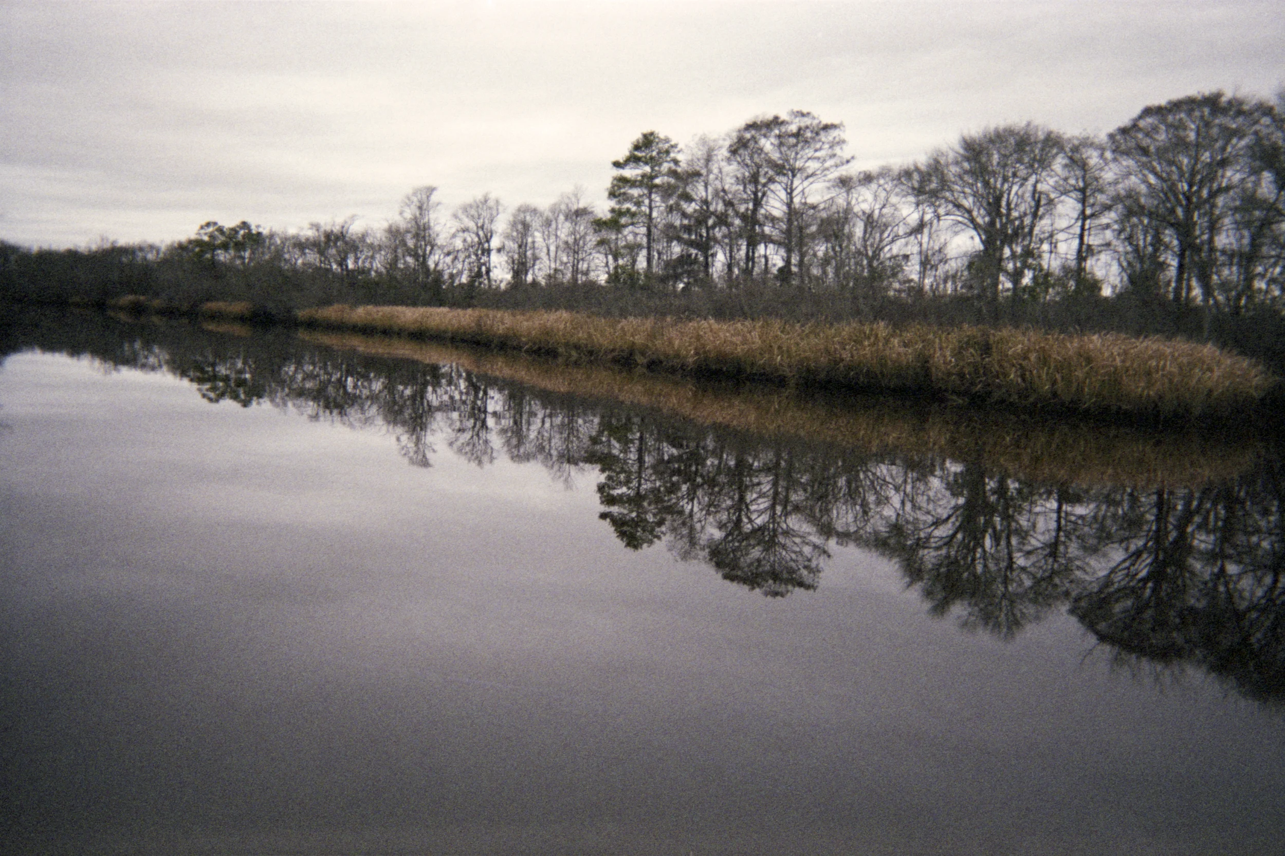 Waccamaw River, Winter