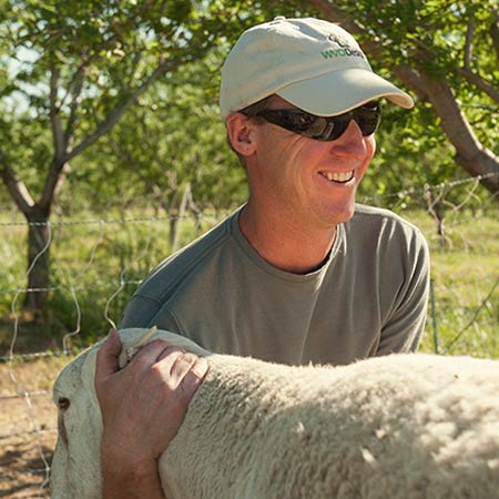 farmers-greg-sheep.jpg
