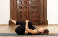 Back Care and Core Stabilization Series 
