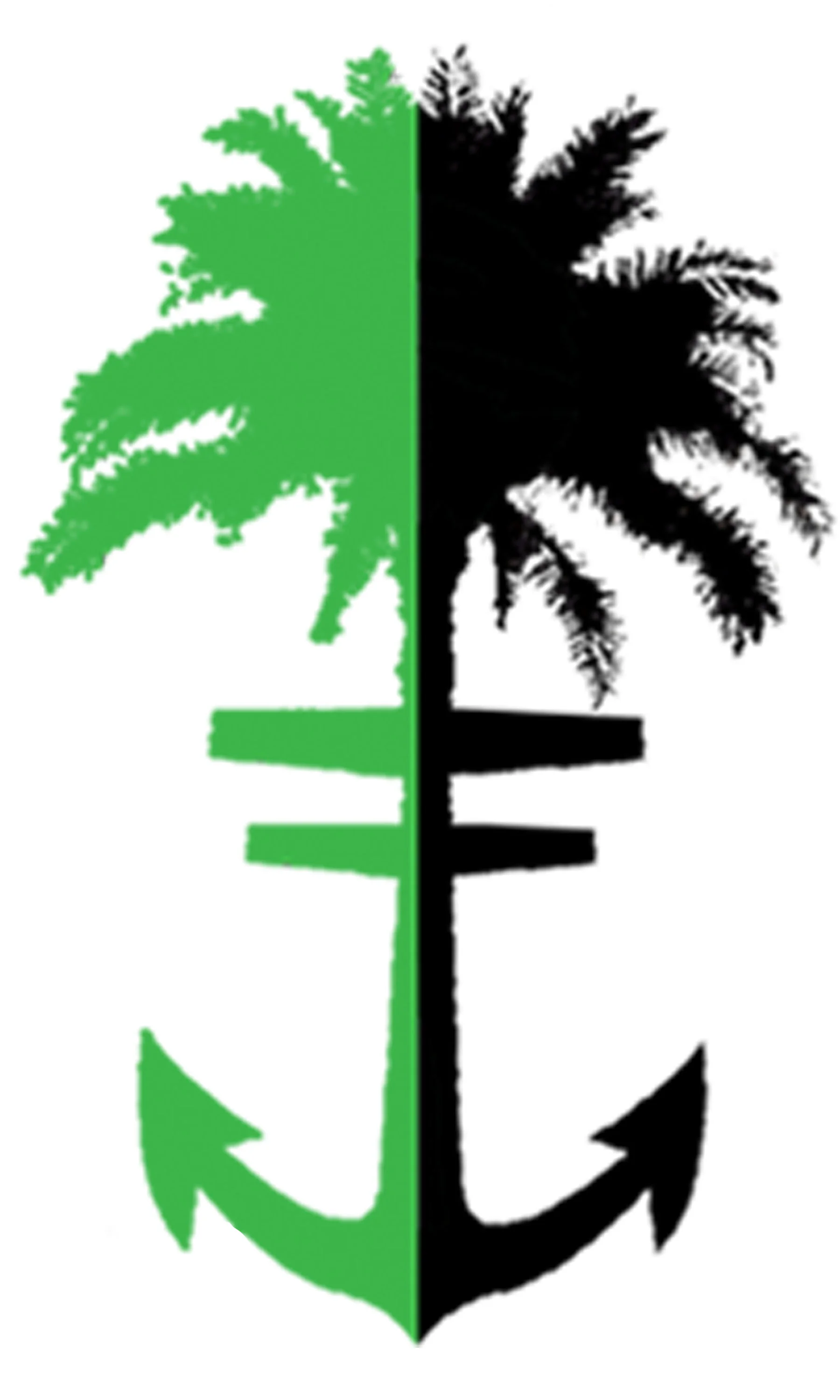 PALM - ANCHOR**.jpg