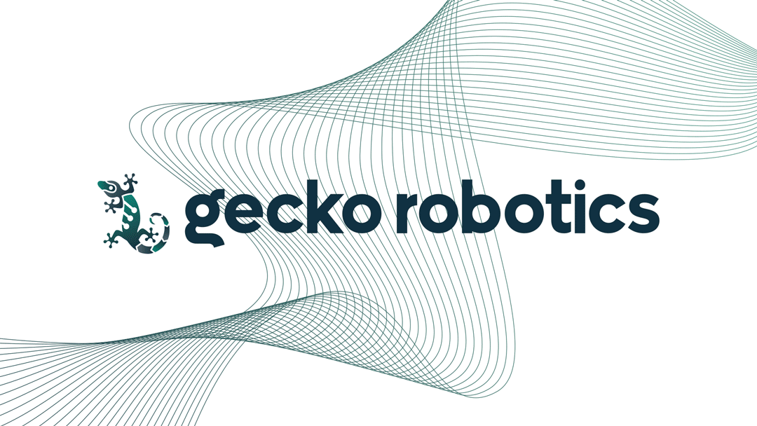 Gecko-TOKA-Transducers-Video.gif
