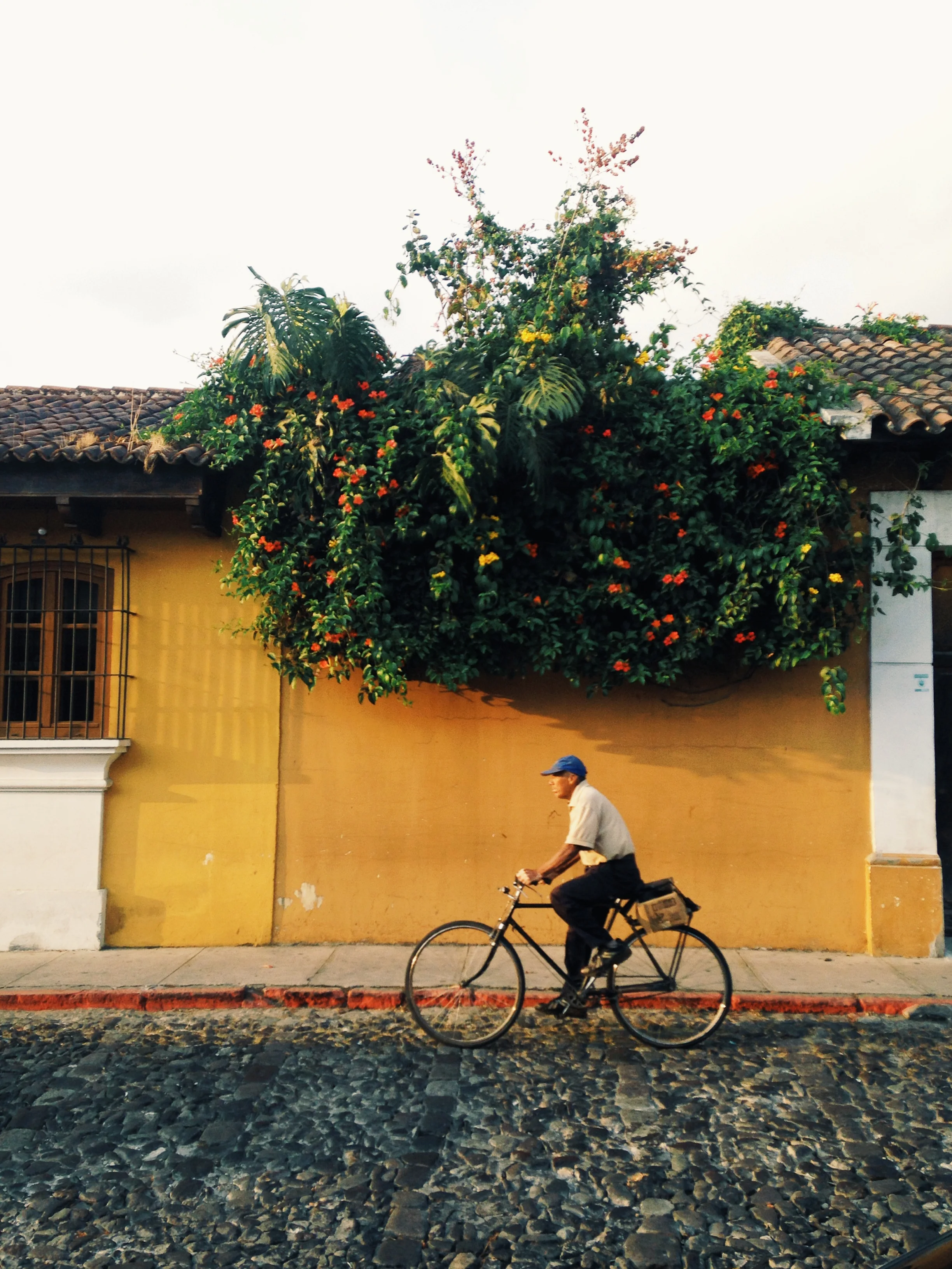 Captured in Antigua, Guatemala. 