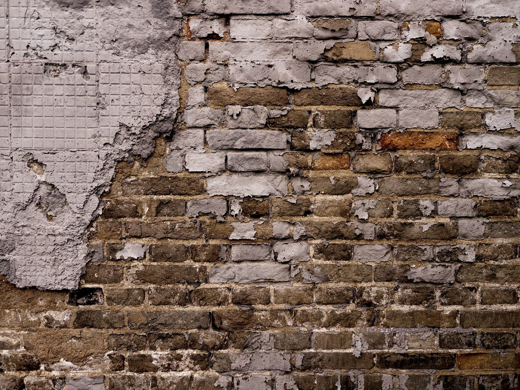 The Story Of The Brick Wall And What It Tells Us About Our Brains Omid Scheybani