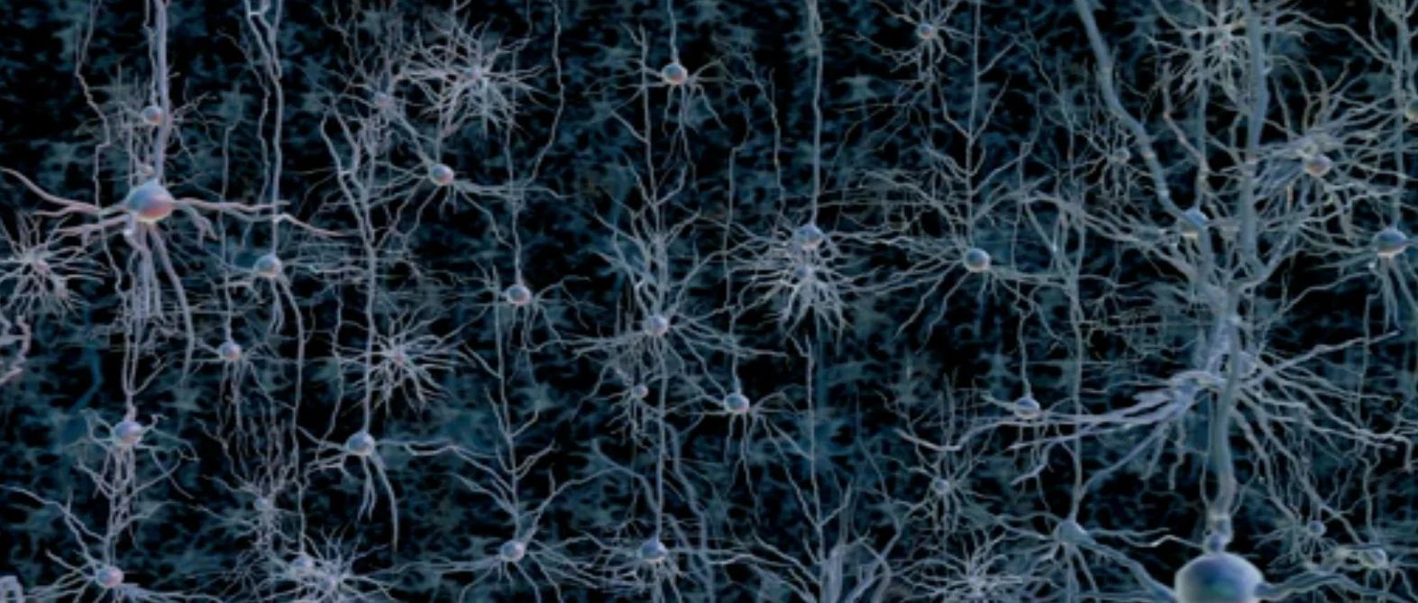Neuronas interconectadas.