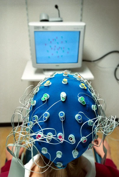 sistema de EEG.