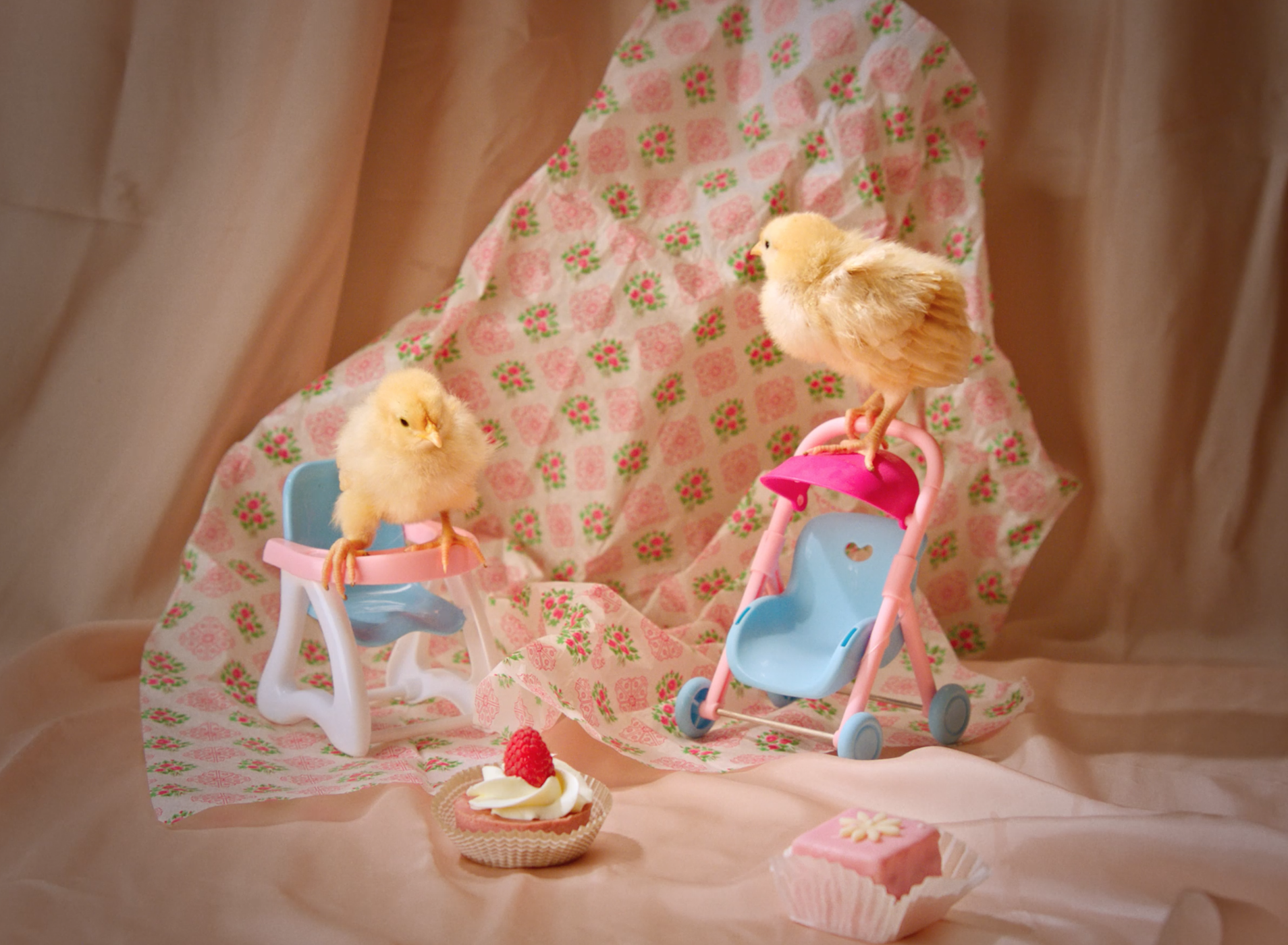 EGG PARTY_NORA&FLEMINGTON (1).png