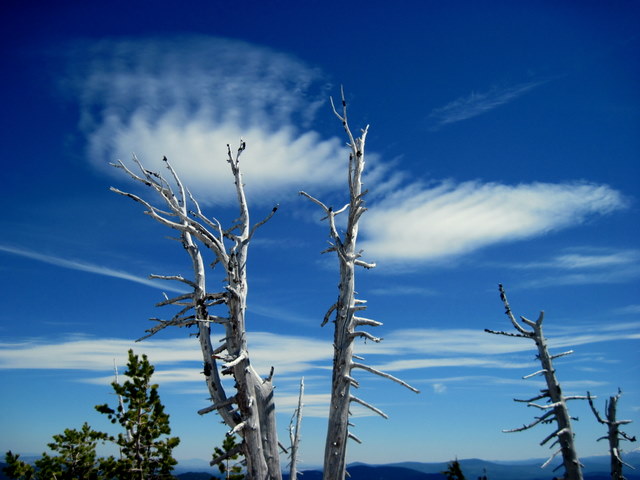 Photo by Mike Grover