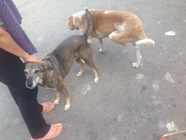 Two streets around the neighbourhood looking for some love