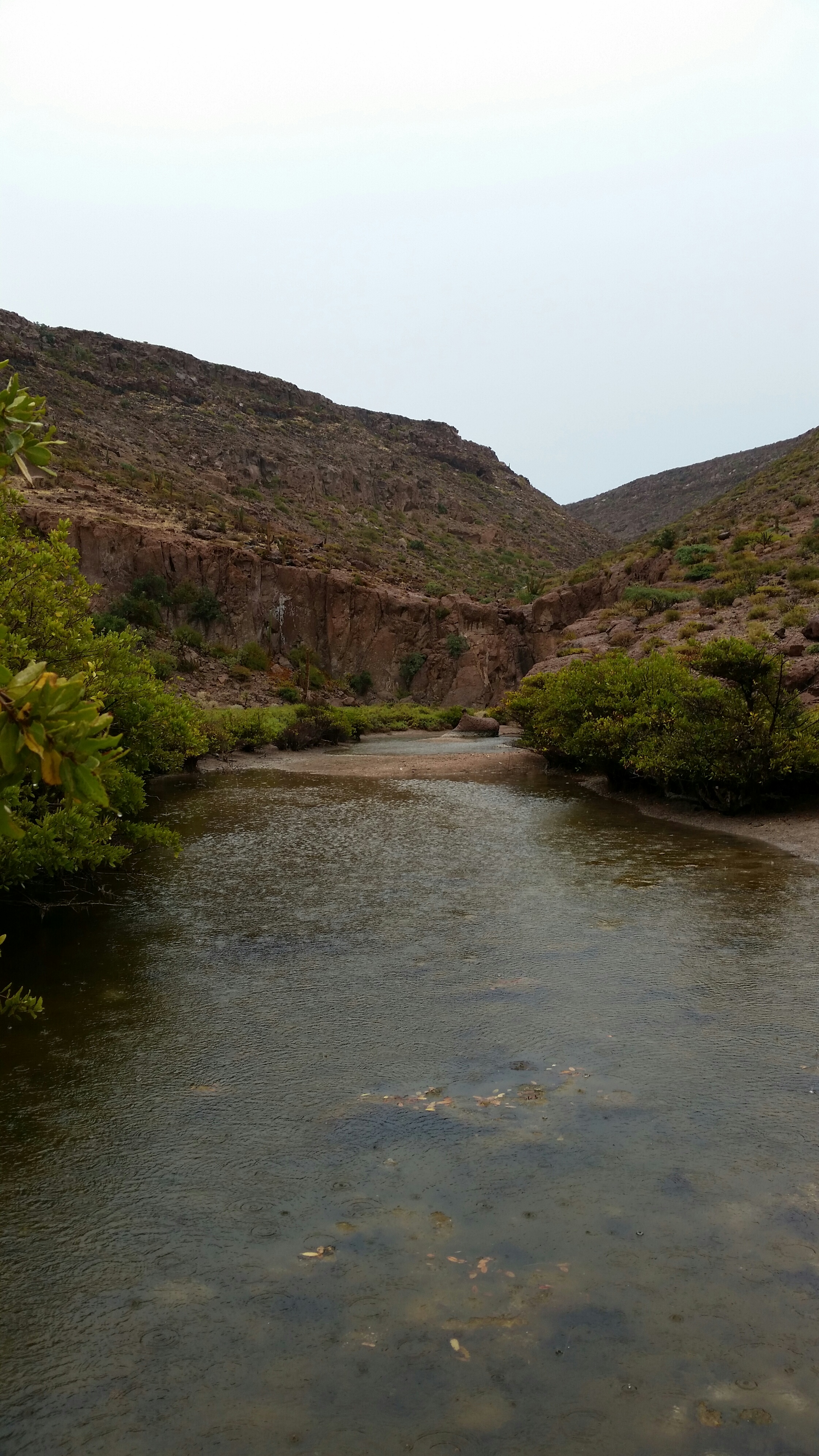 If you look closely you can see the rain drops in the water. 