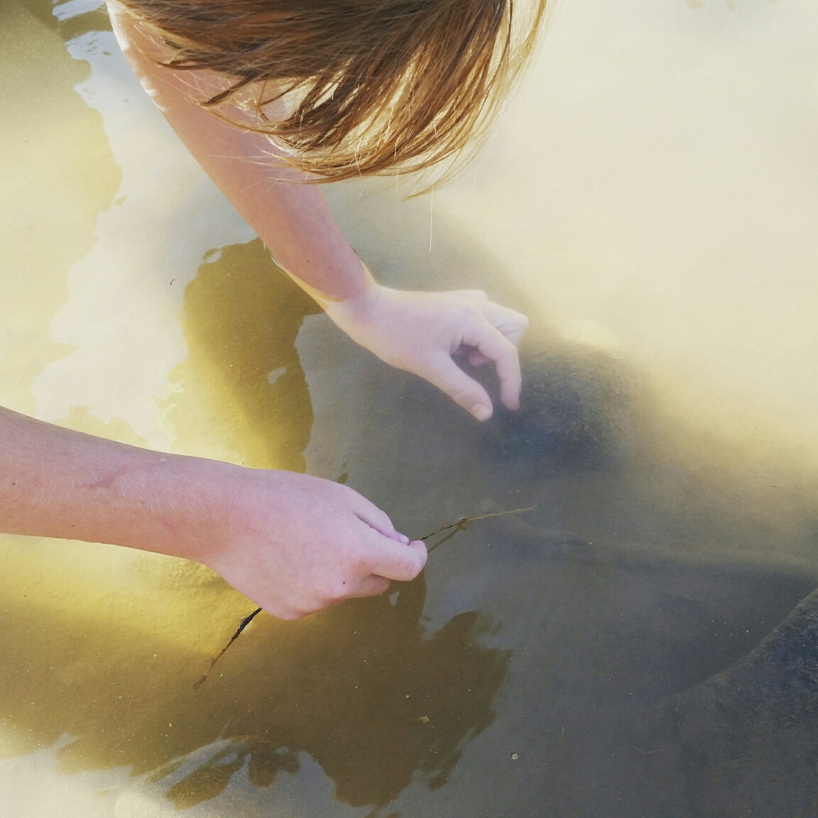 We'll go down to that crawdad hole