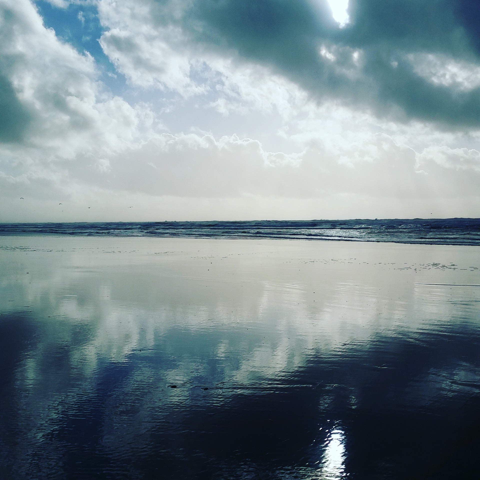The pacific, just a short walk from my trailer door.