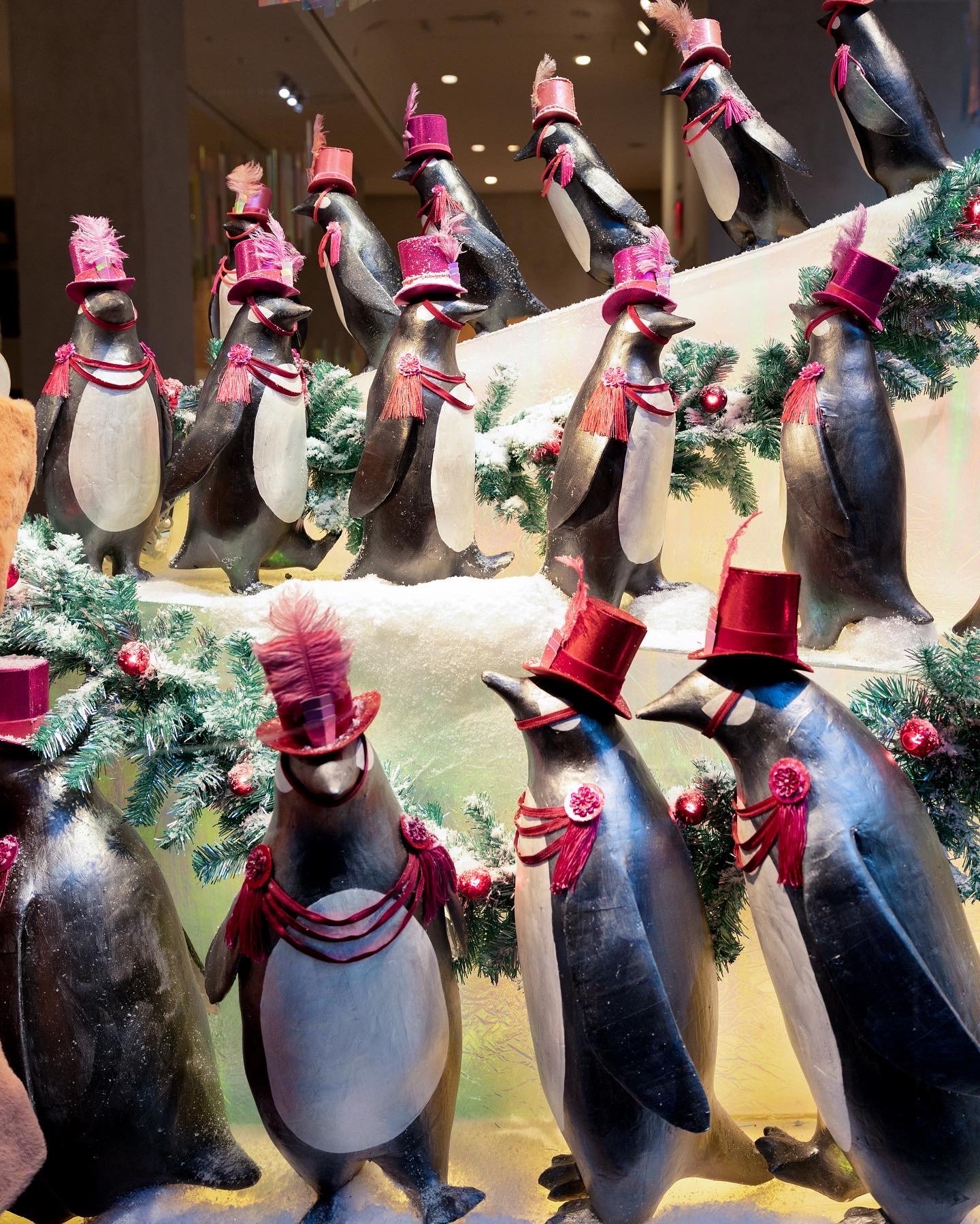 Decorative display of penguin figurines wearing red and pink hats, scarves, and feathered accessories, arranged among Christmas greenery and ornaments.