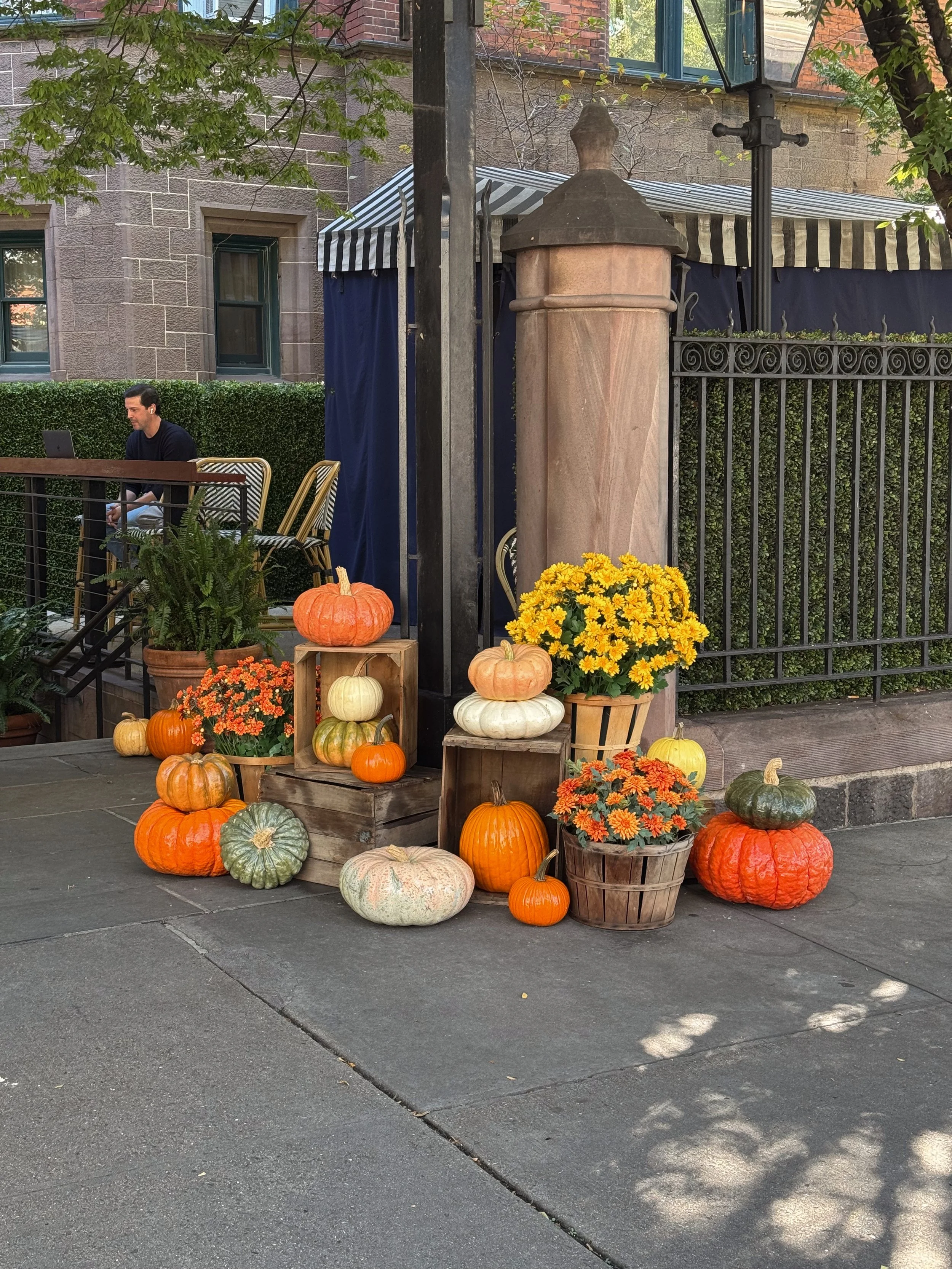 Fall display with pumpkins and yellow flowers on a sidewalk