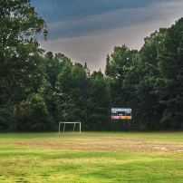 field