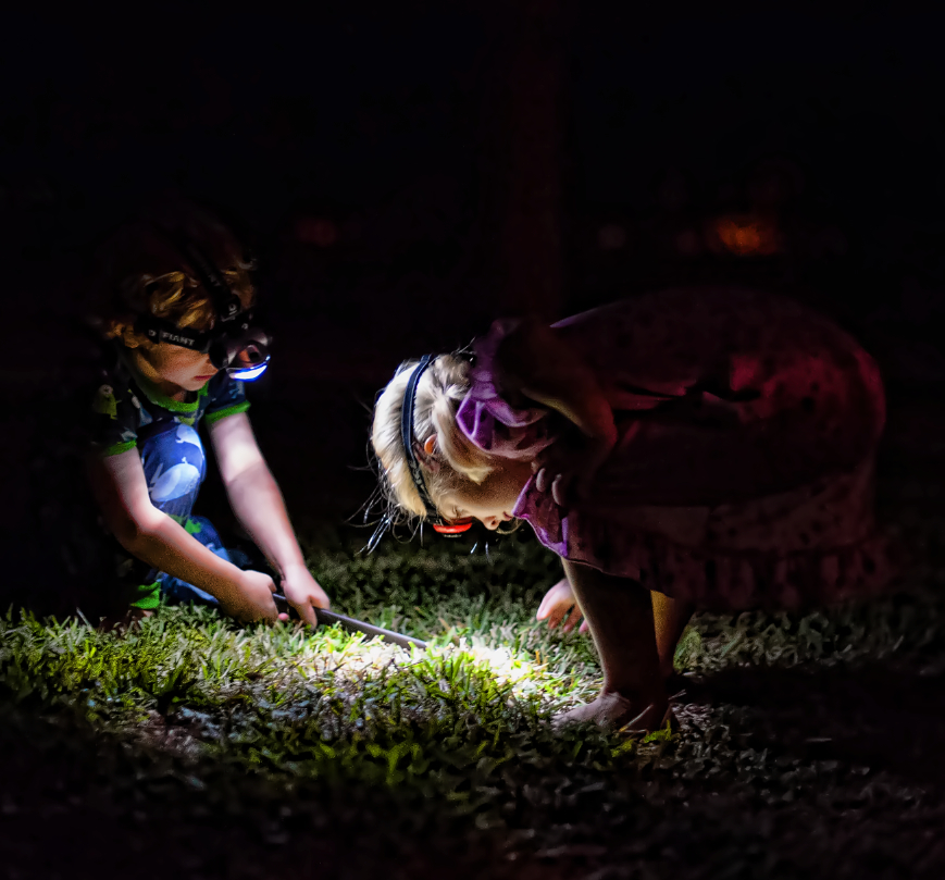 spiderhunting