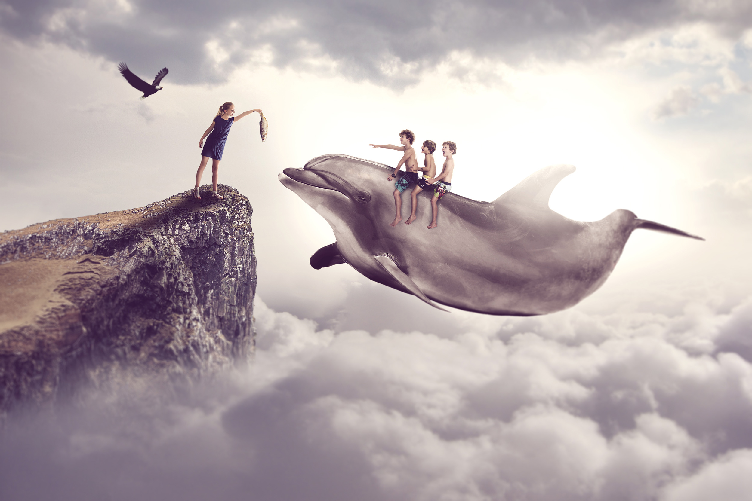 Dolphin Ride