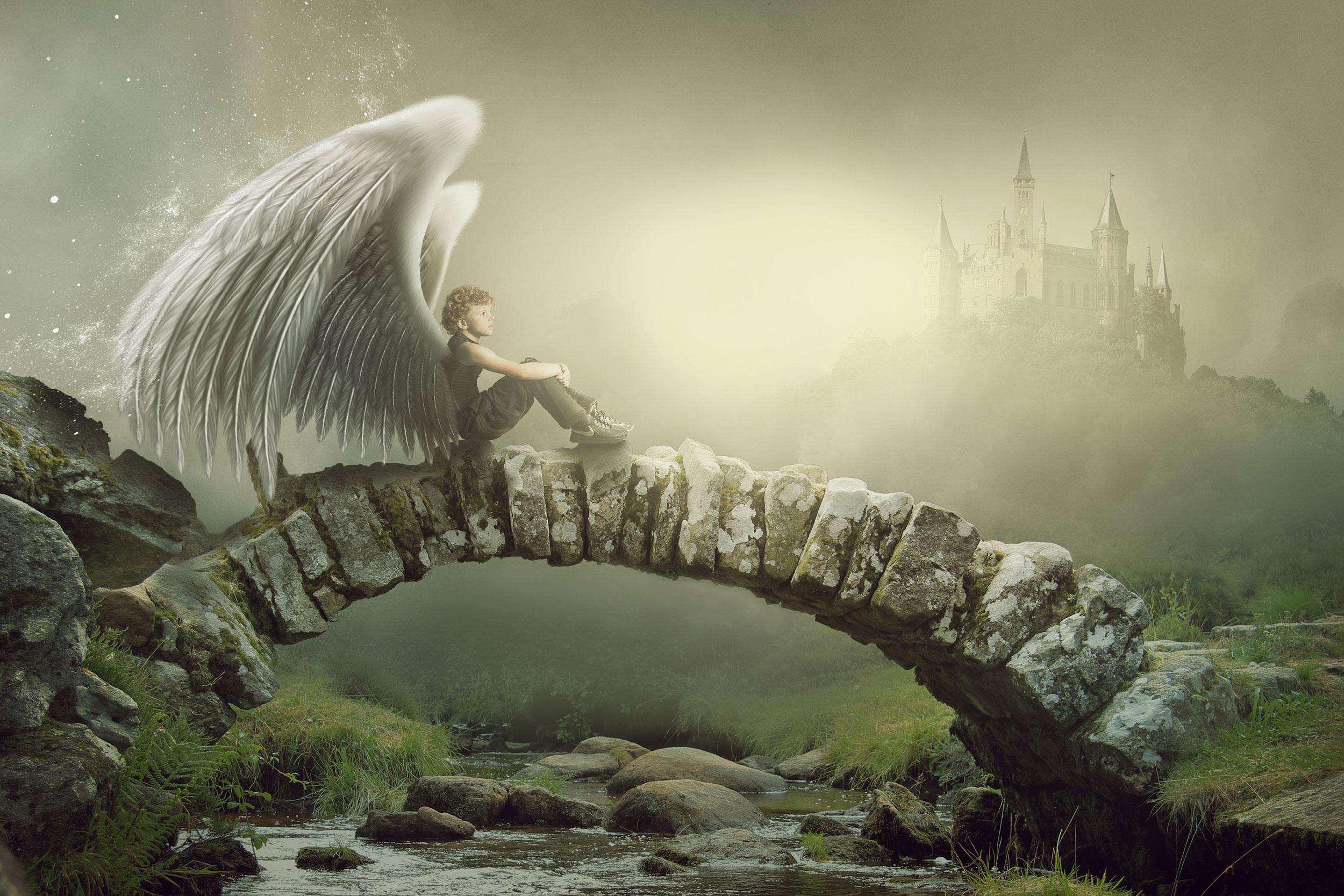 Wings