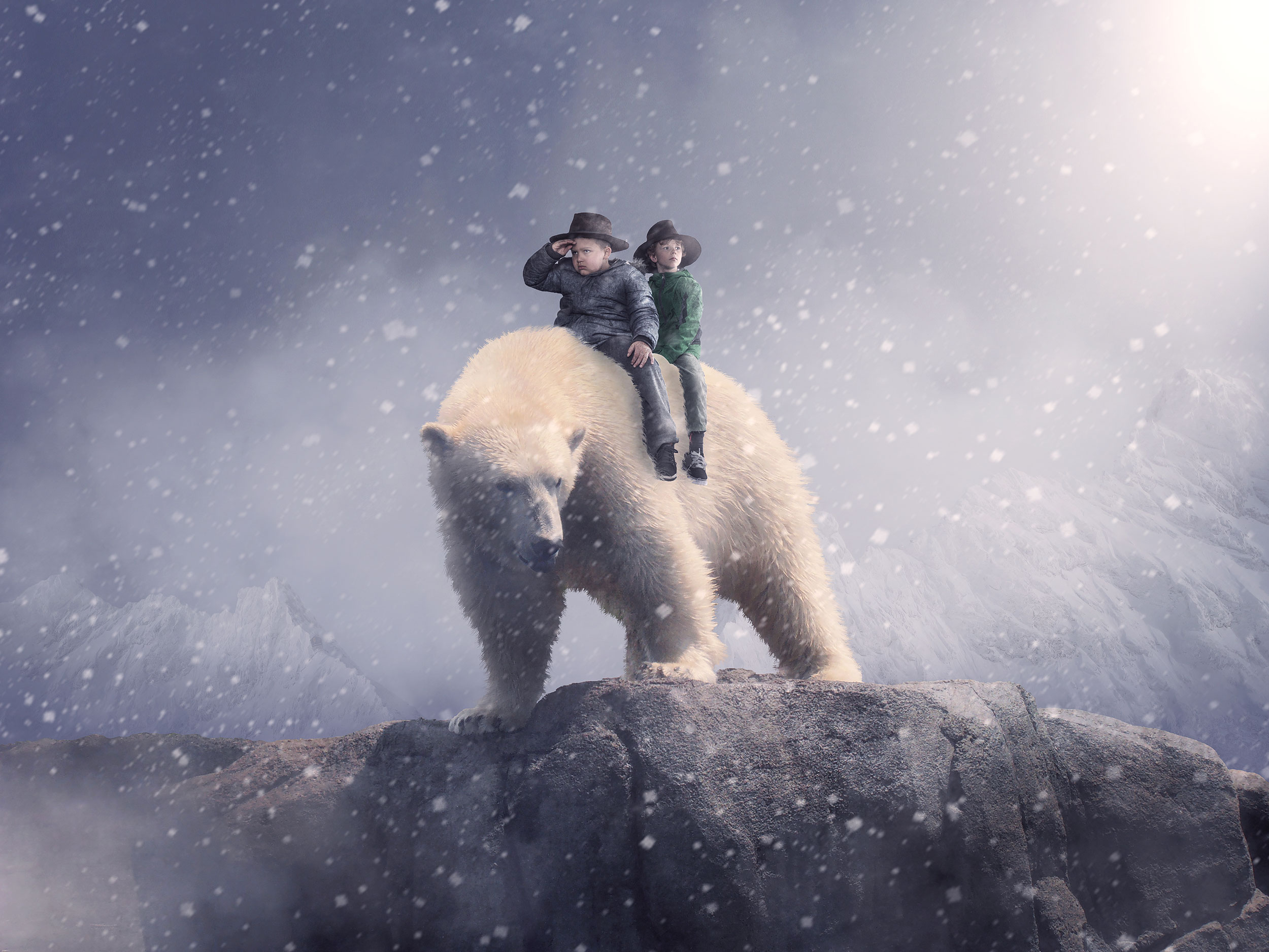 Polar Bear Exploring