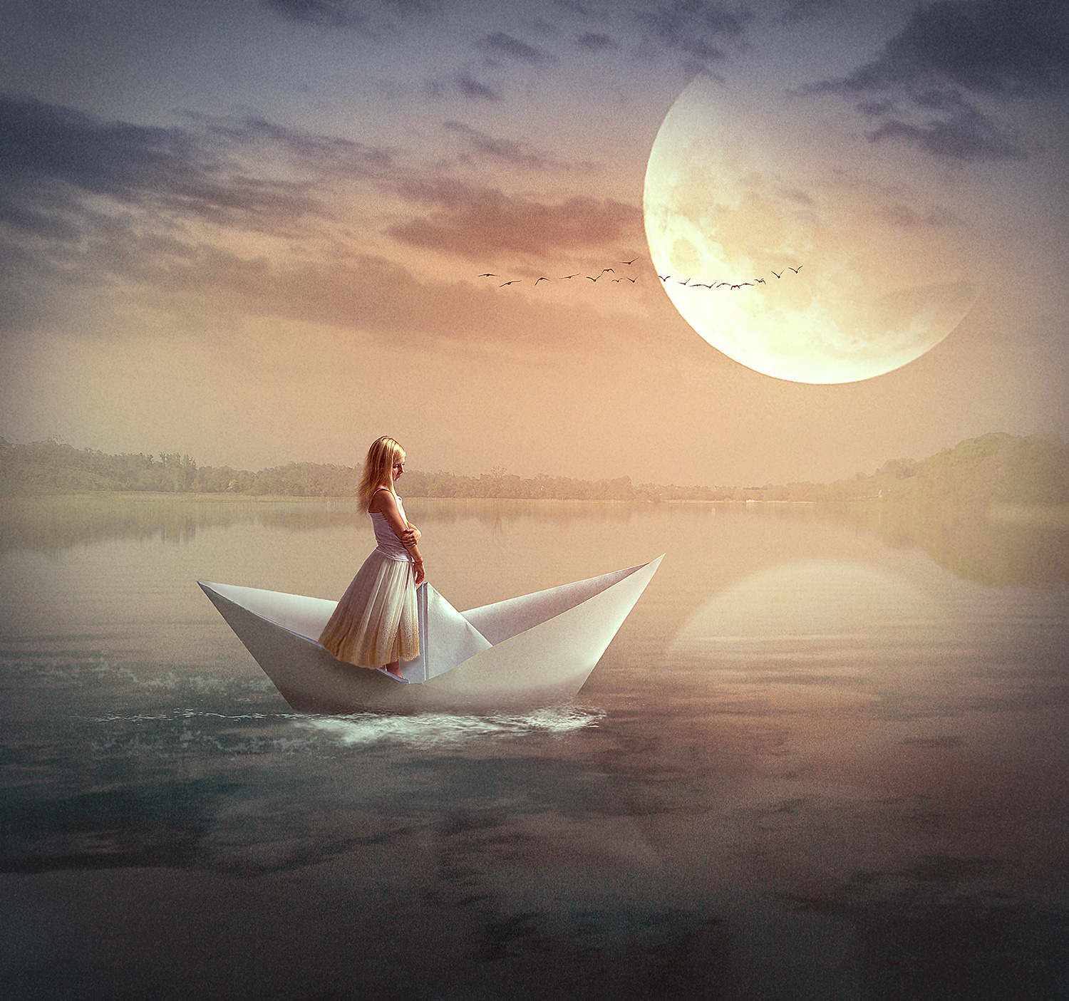 Origami Dream