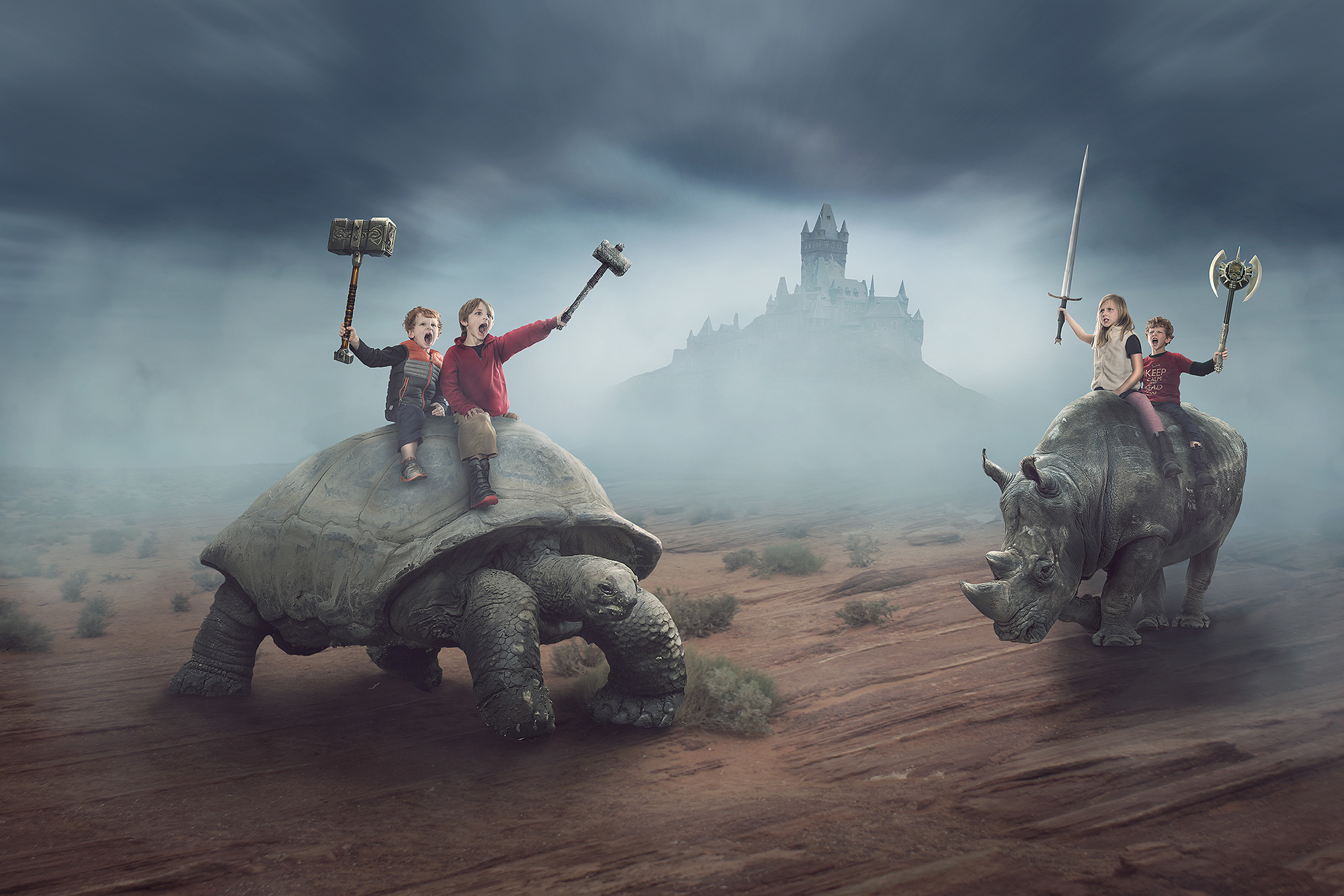 Tortoise vs. Rhino