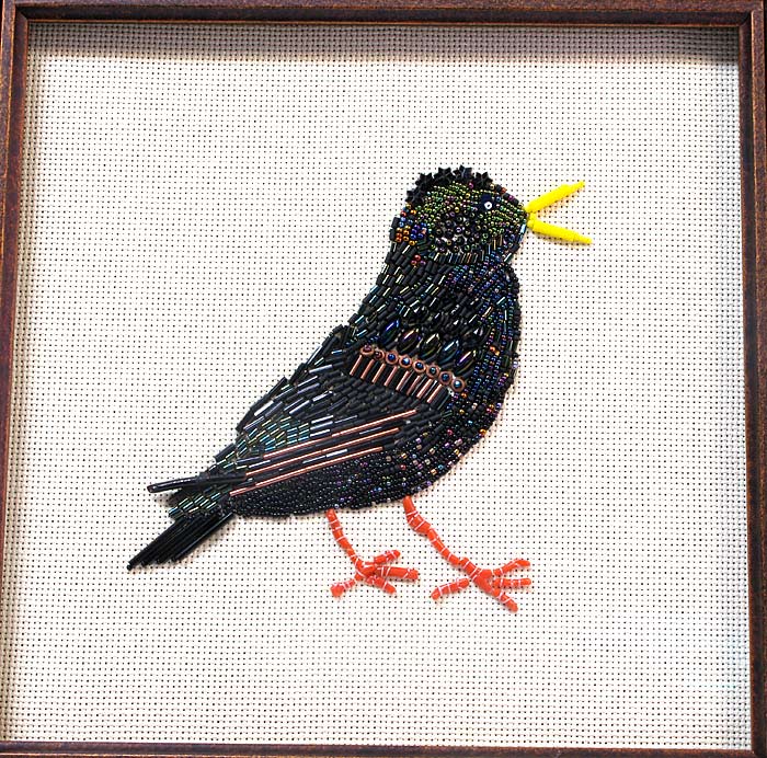 The Common Extraordinary Starling by Cynthia Talbott-Nelson