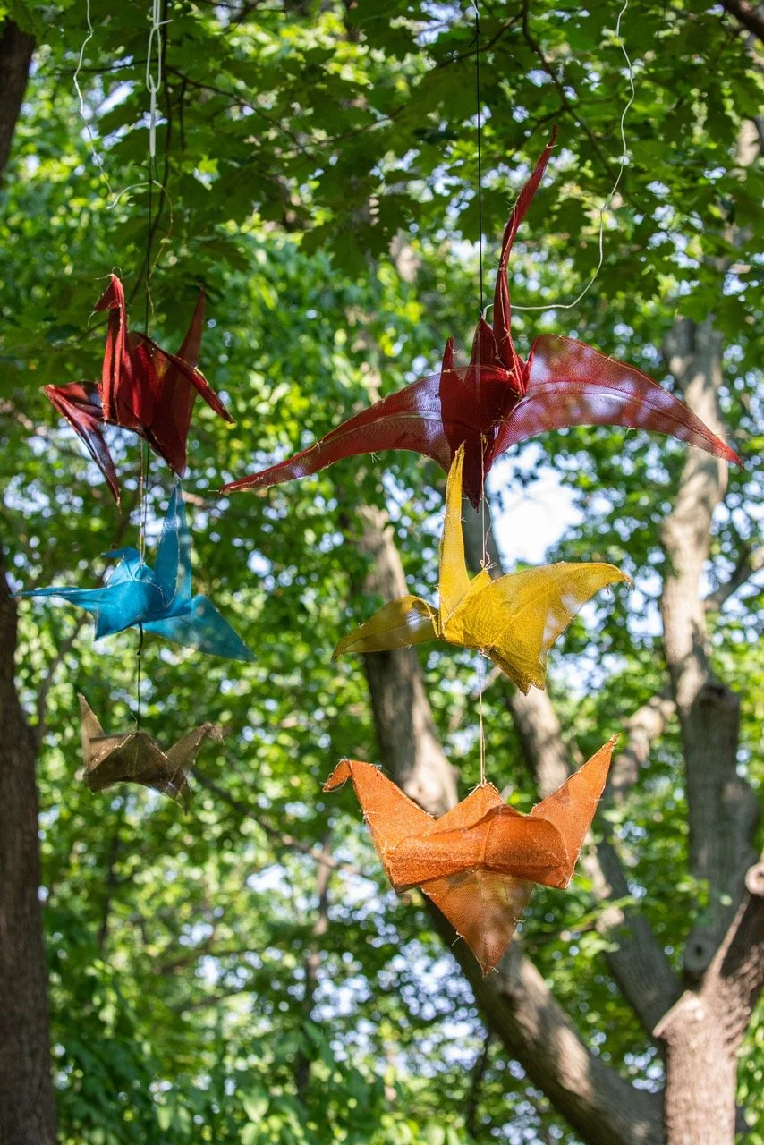 Cranes by Janet Kawada