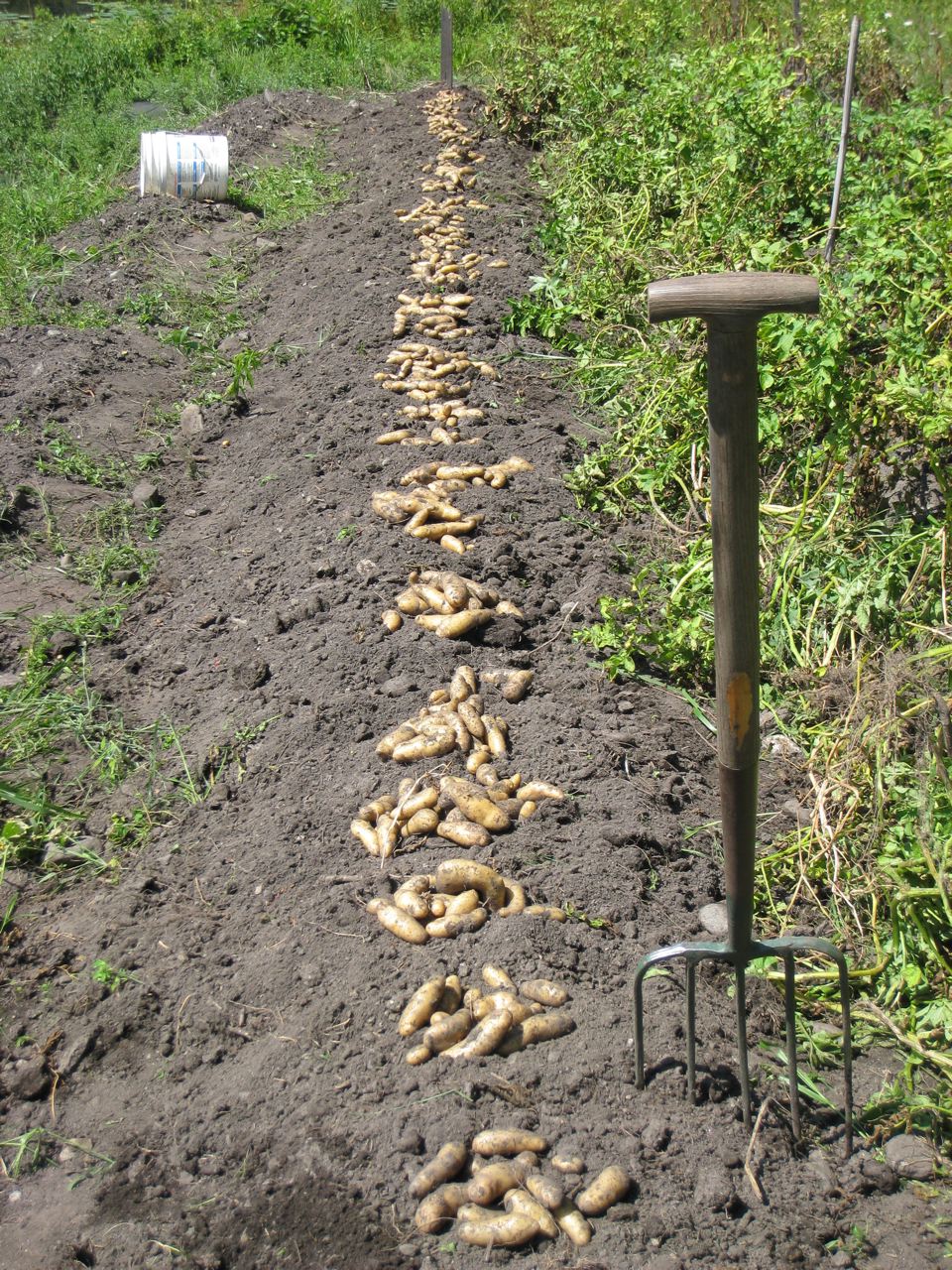 Harvest.