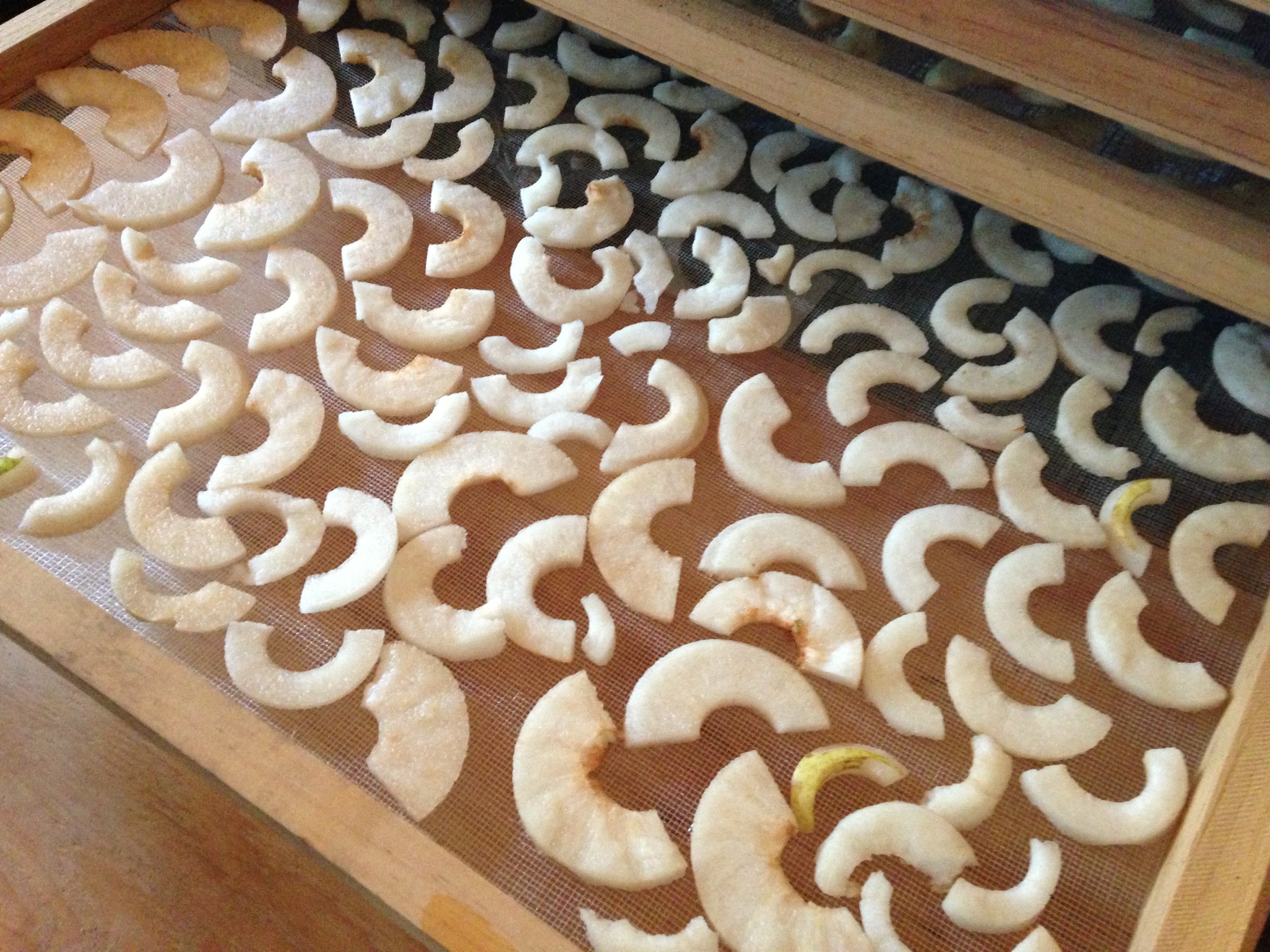 Drying rack of Asian pears