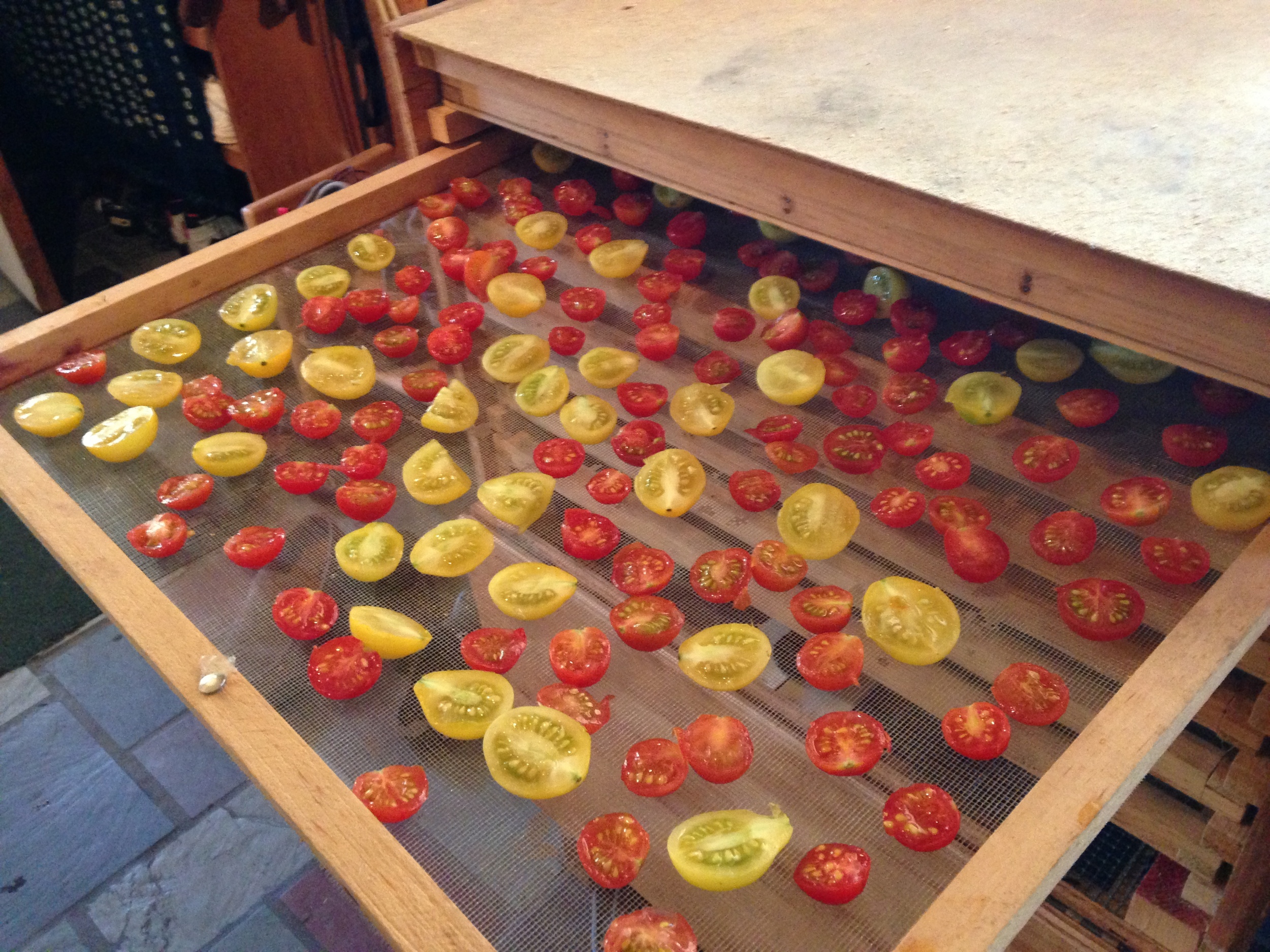 drying cherry tomatos.jpg