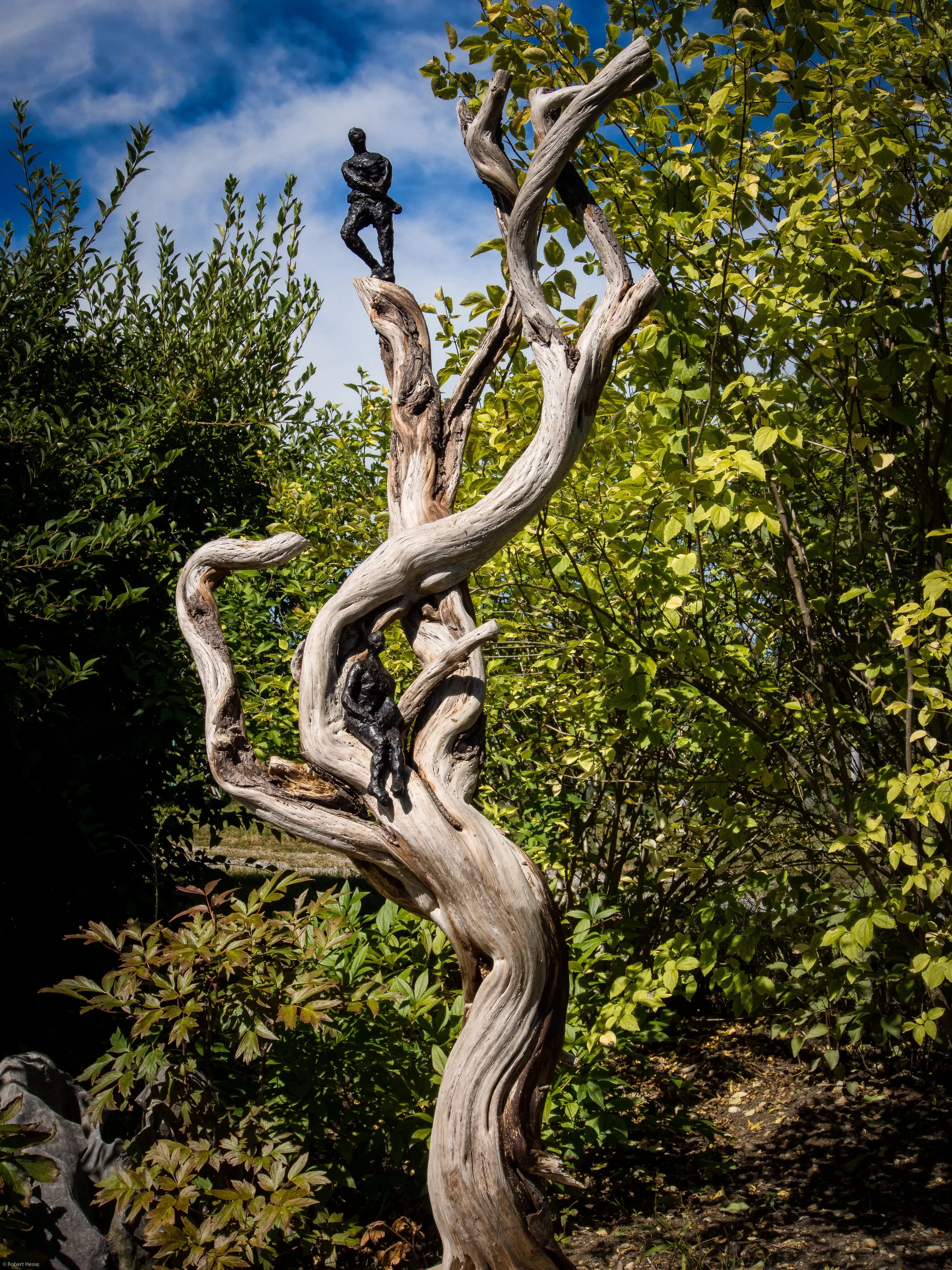 Tree Figures, Linda Hoffman