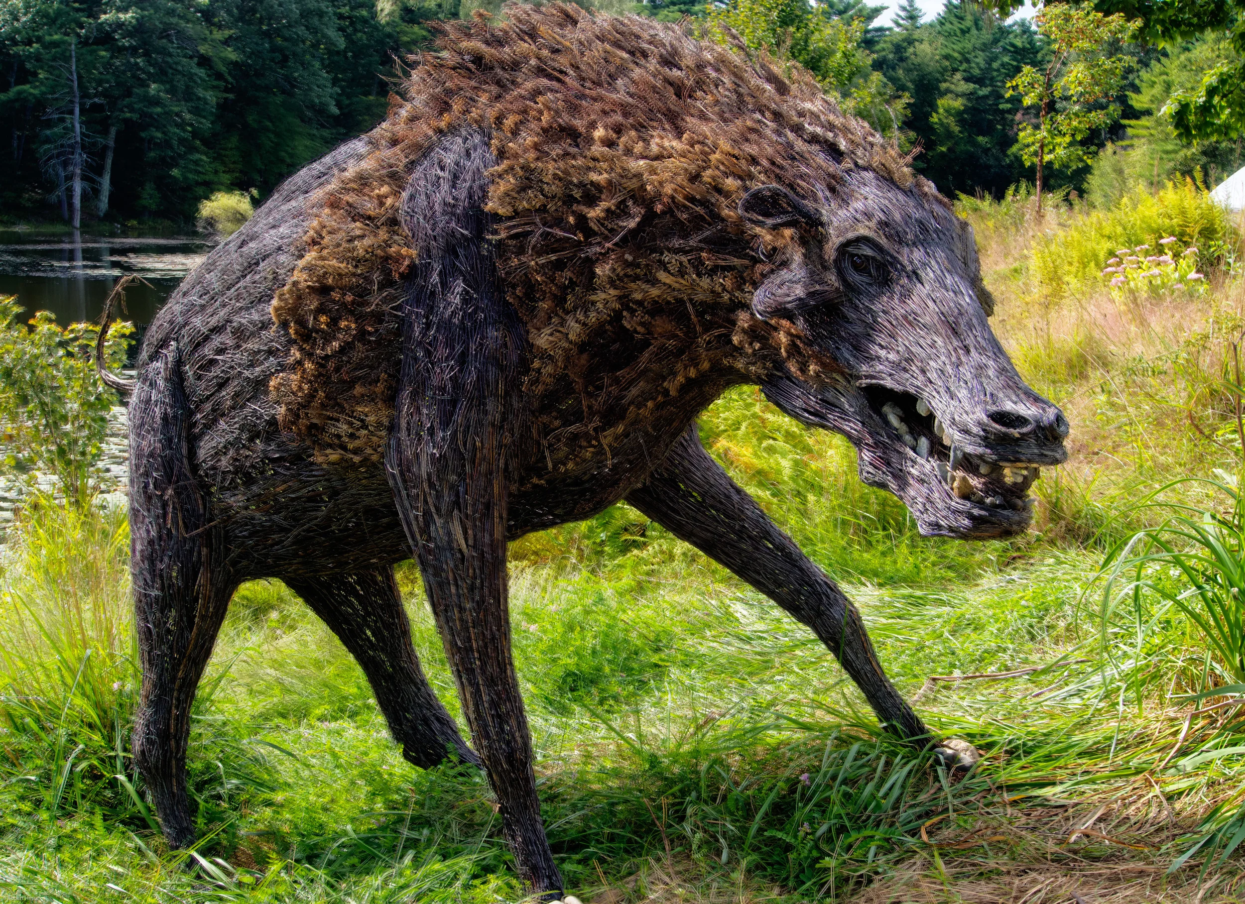 The Entelodont, Bob Shanahan