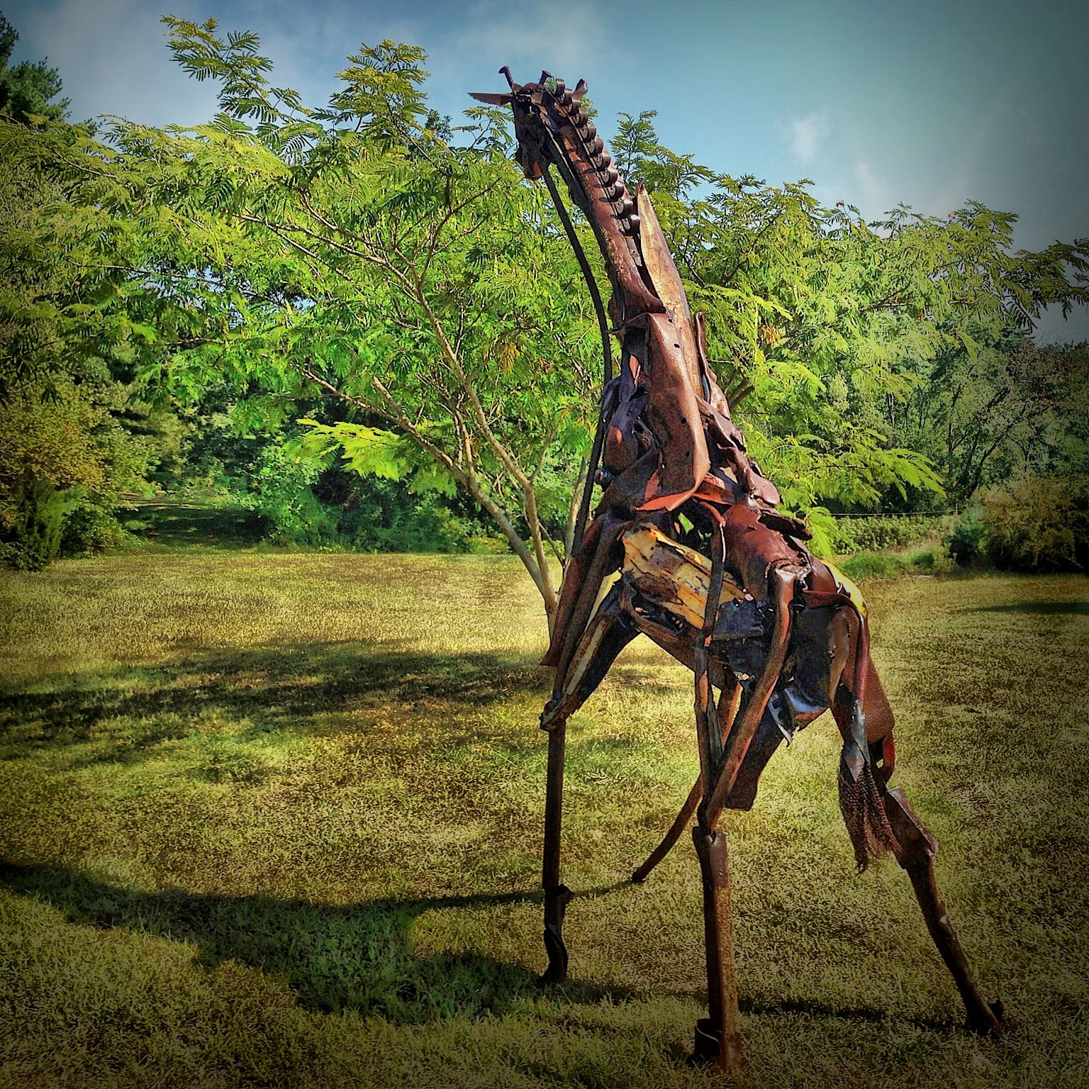 Giraffe, Madeleine Lord and Robert Hesse