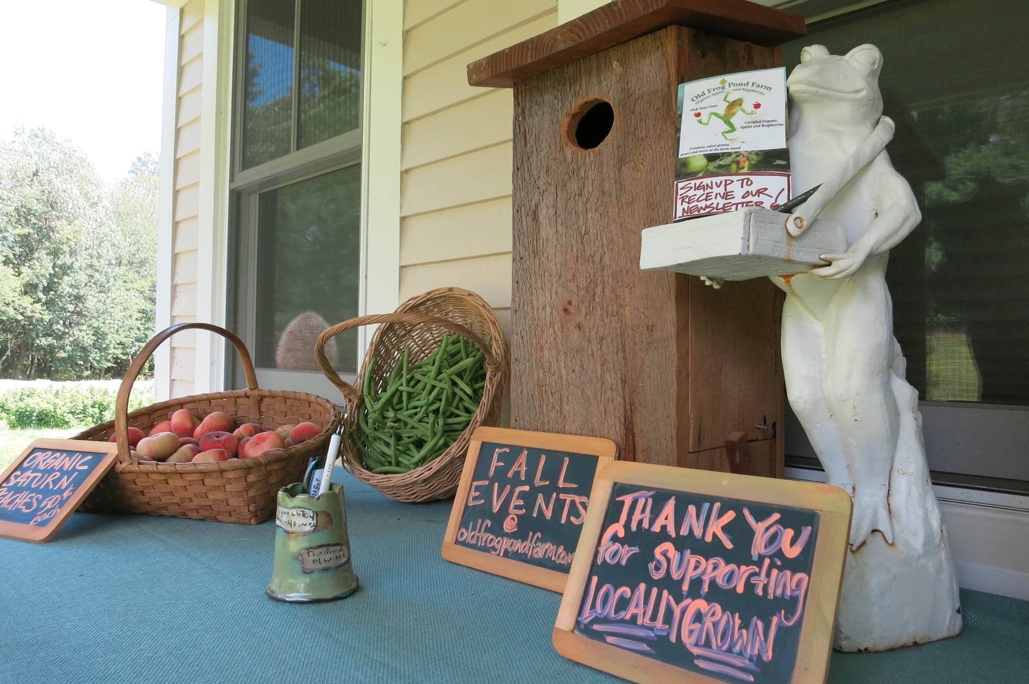 our farm stand is self-serve and features our freshly harvested fruits and vegetables!