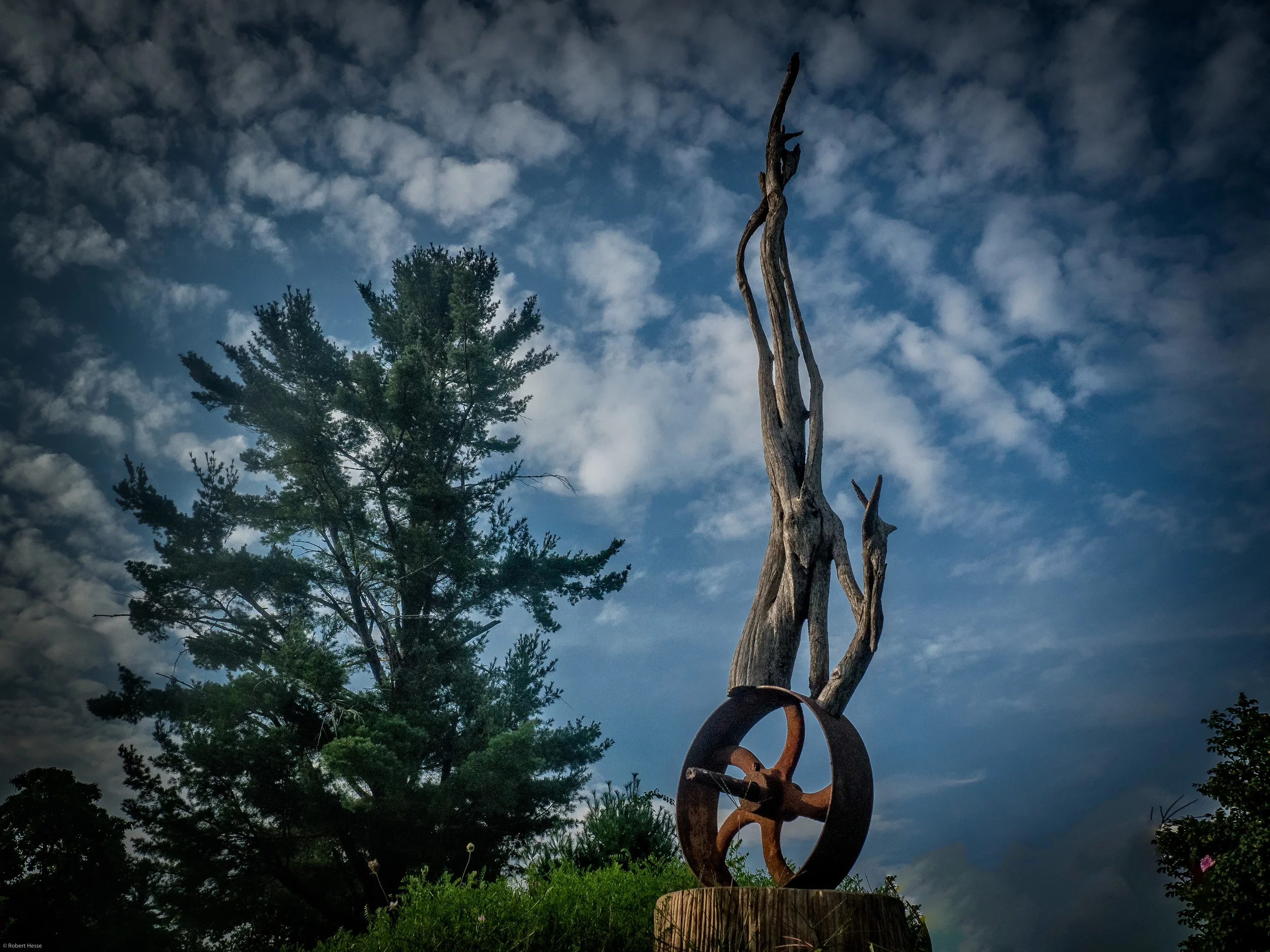 Unicycle Rider by Linda Hoffman