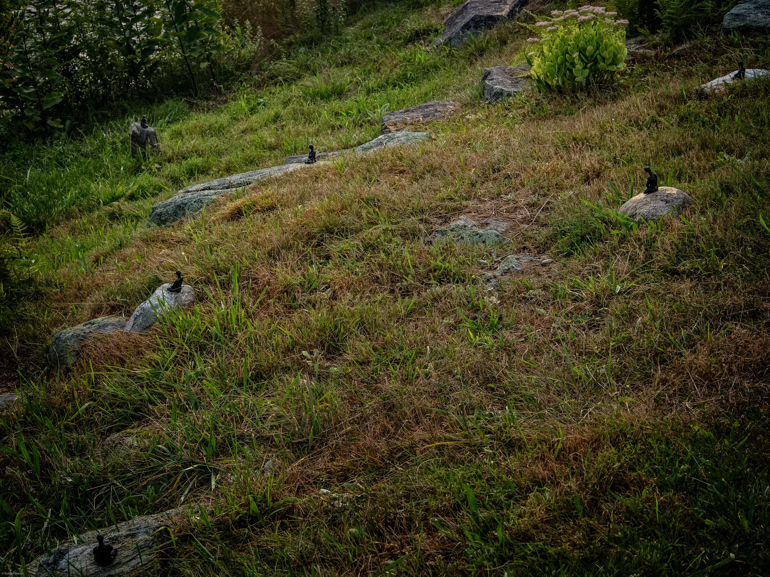 Meditation Garden by Linda Hoffman