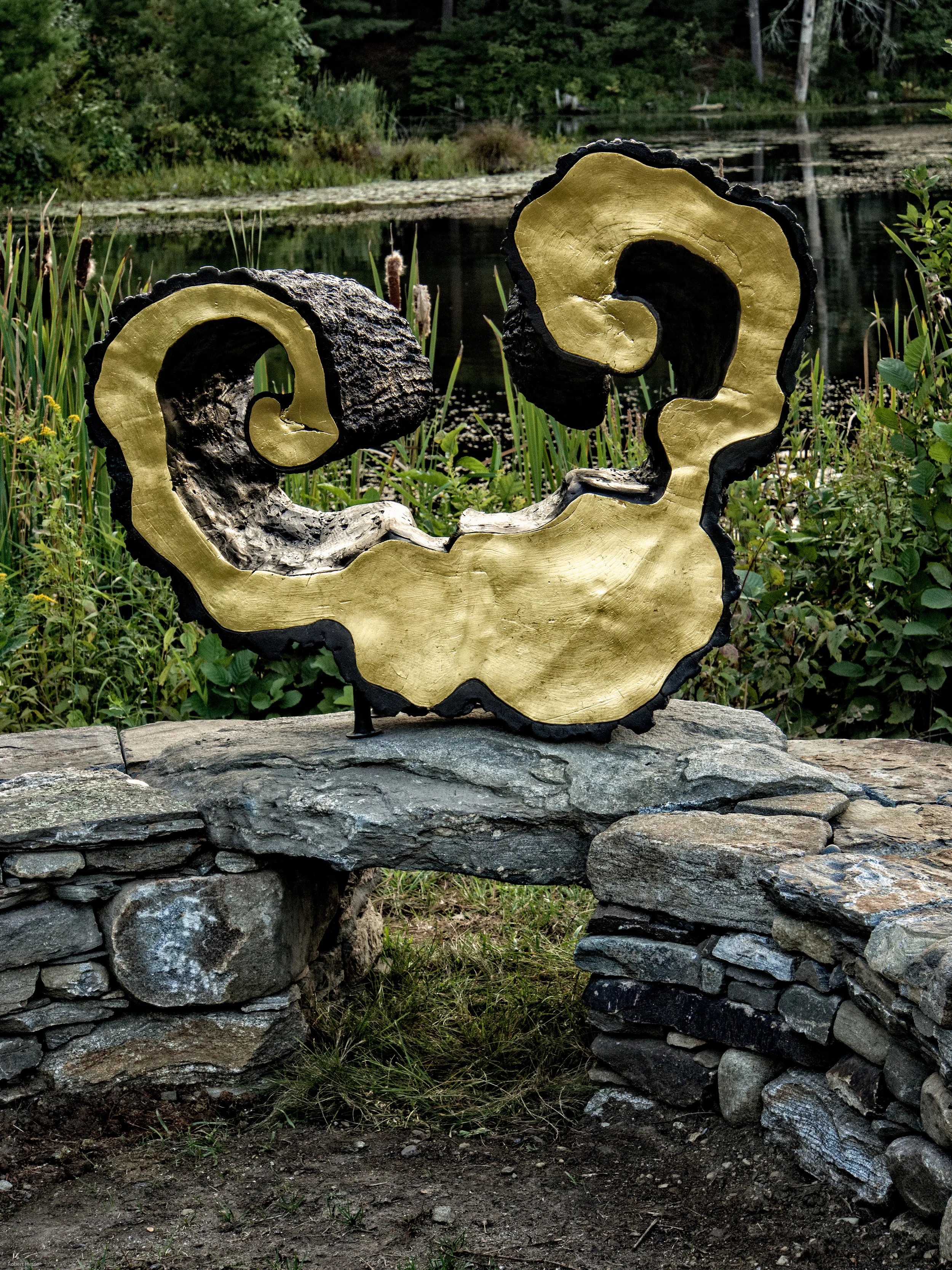 Lidians's Lyre by Linda Hoffman