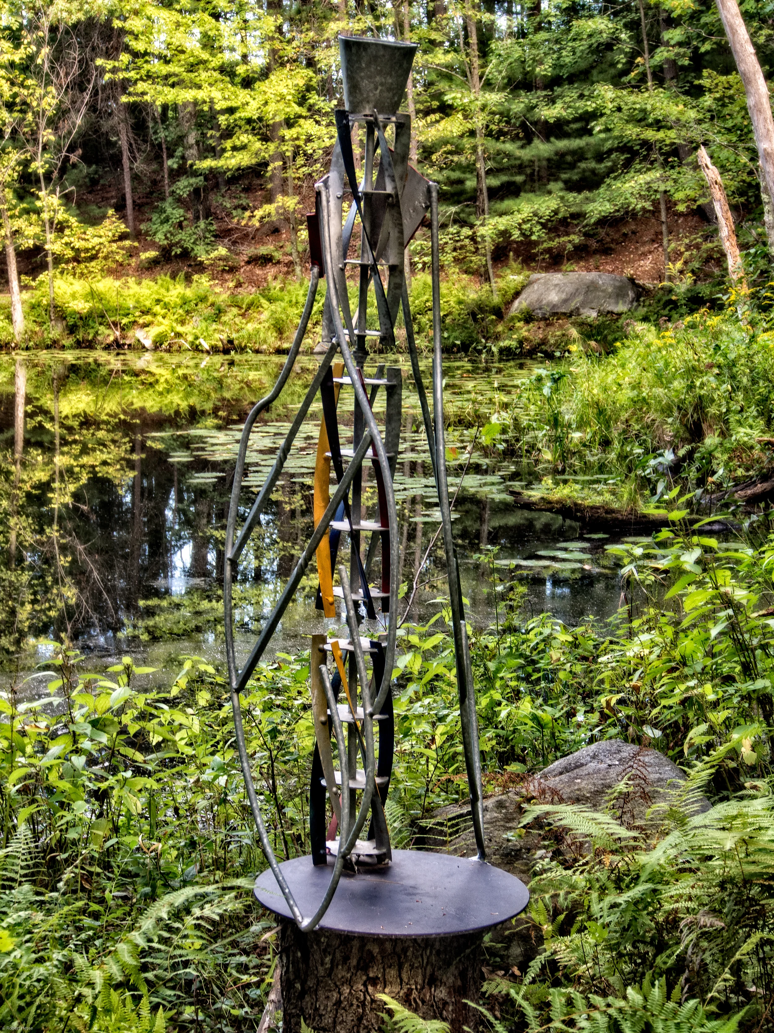 Forest Caregiver by Peter Lipsitt