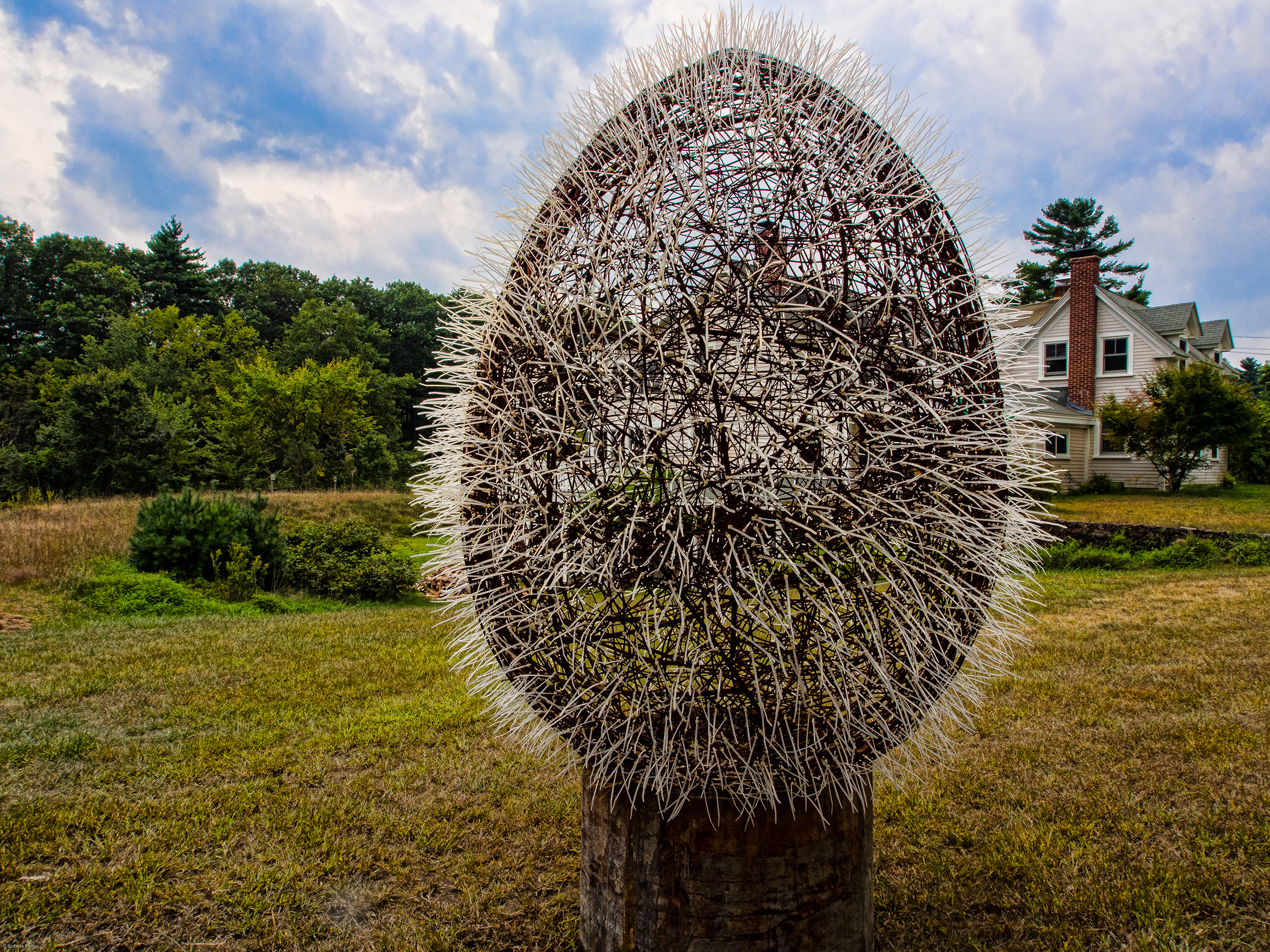 Egg, Yin Peet. photo Robert Hesse