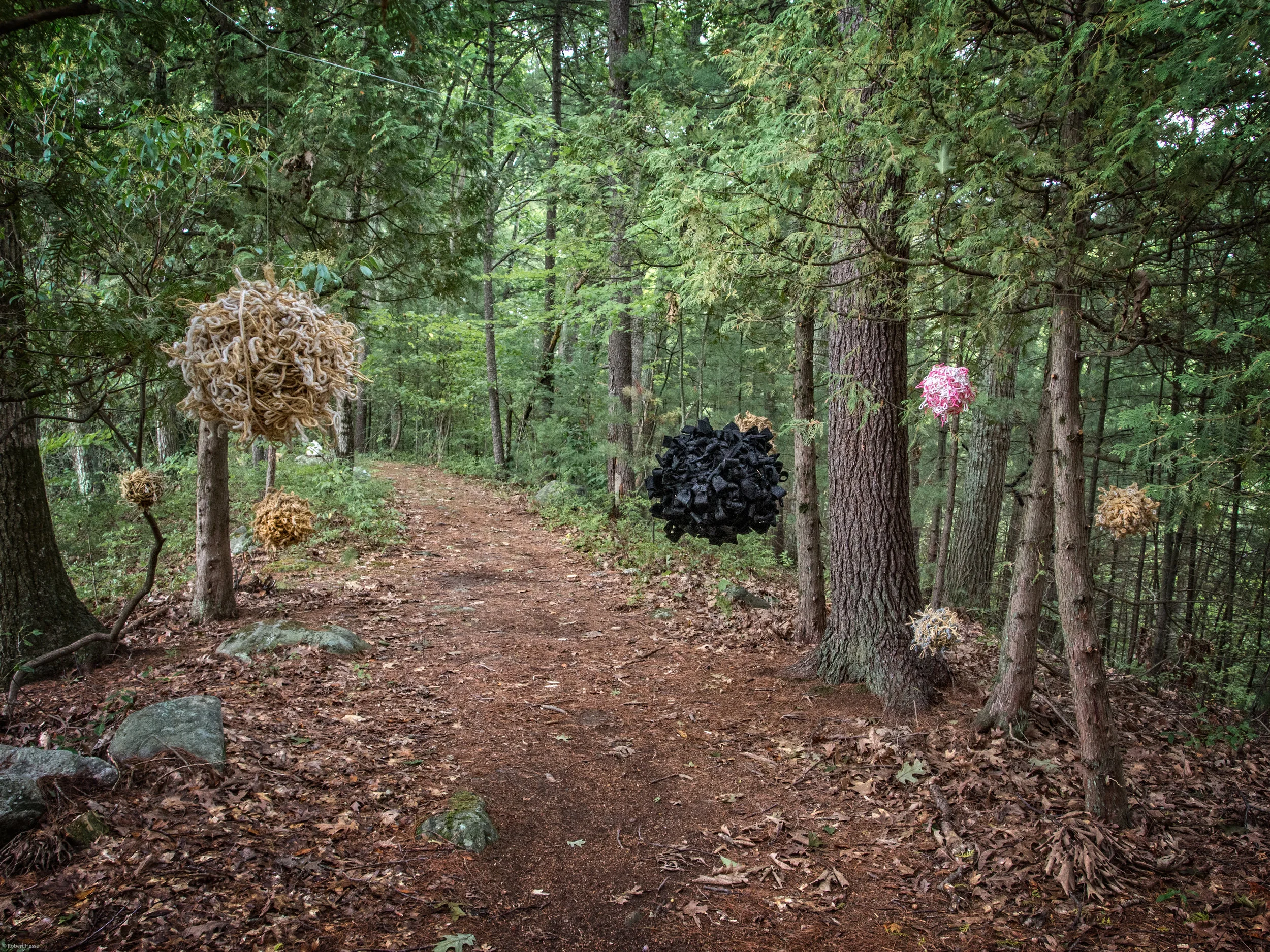 Orbs (view 2) by Margot Stage