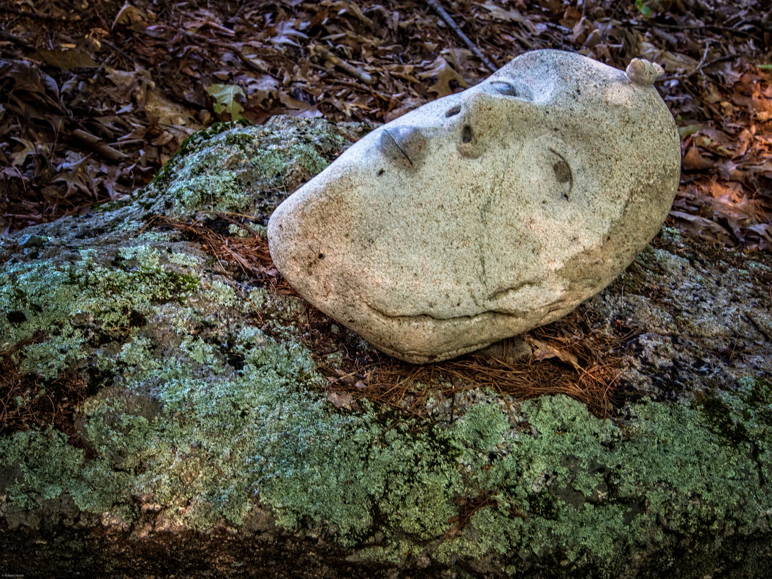 Head with Bird by Joseph Wheelwright